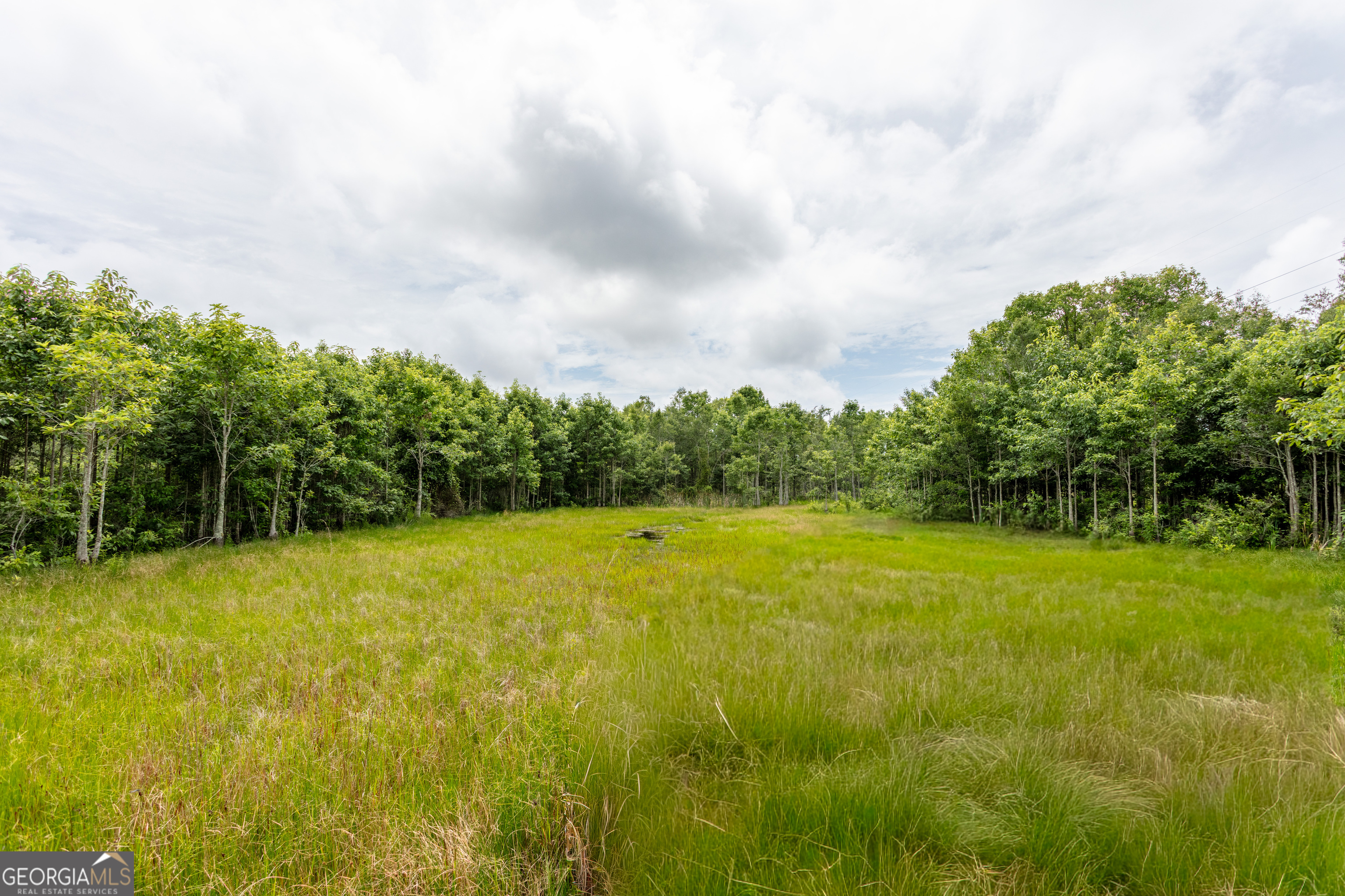 276 Mclauglin Road Property Photo 60