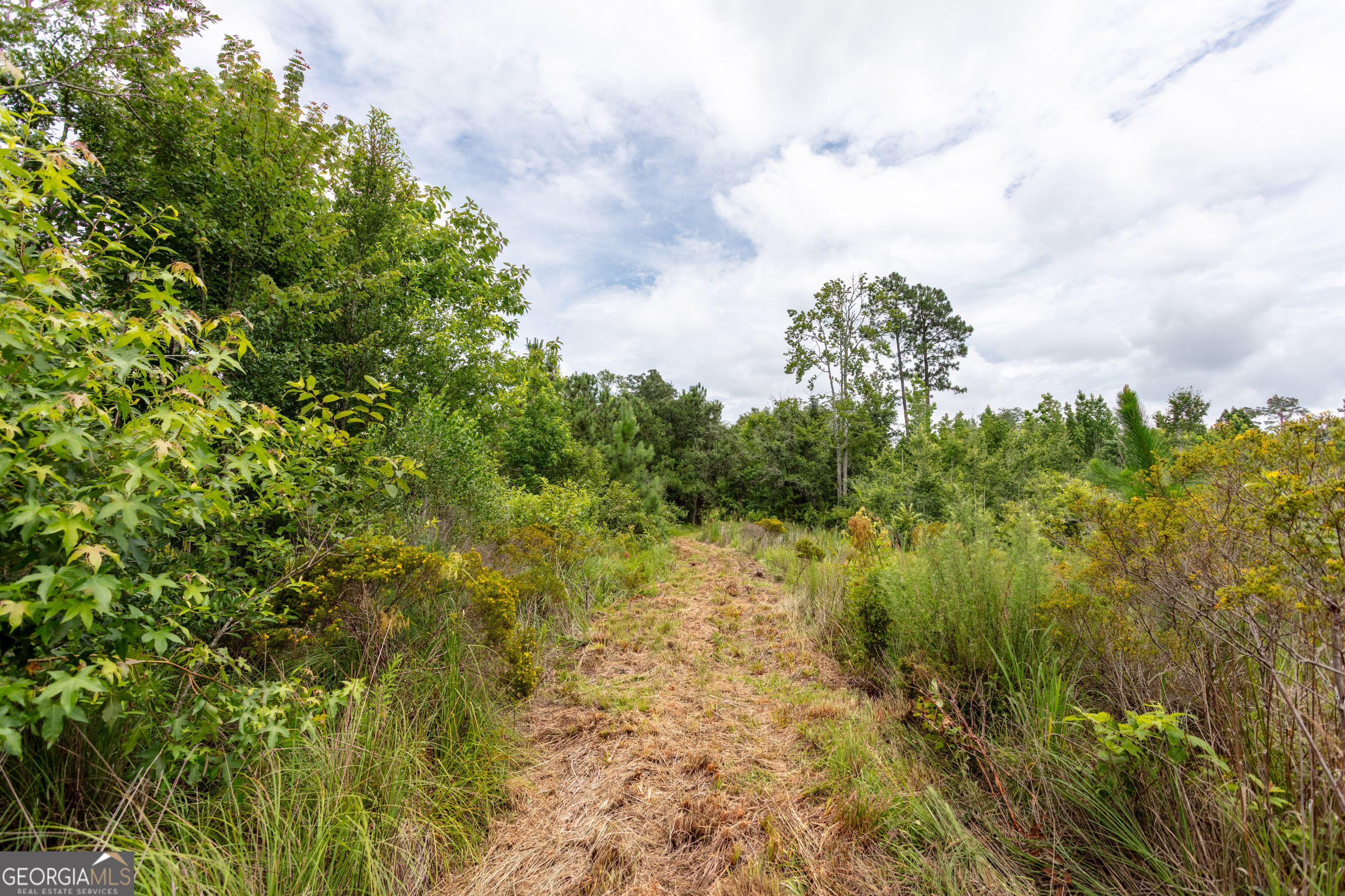 276 Mclauglin Road Property Photo 62