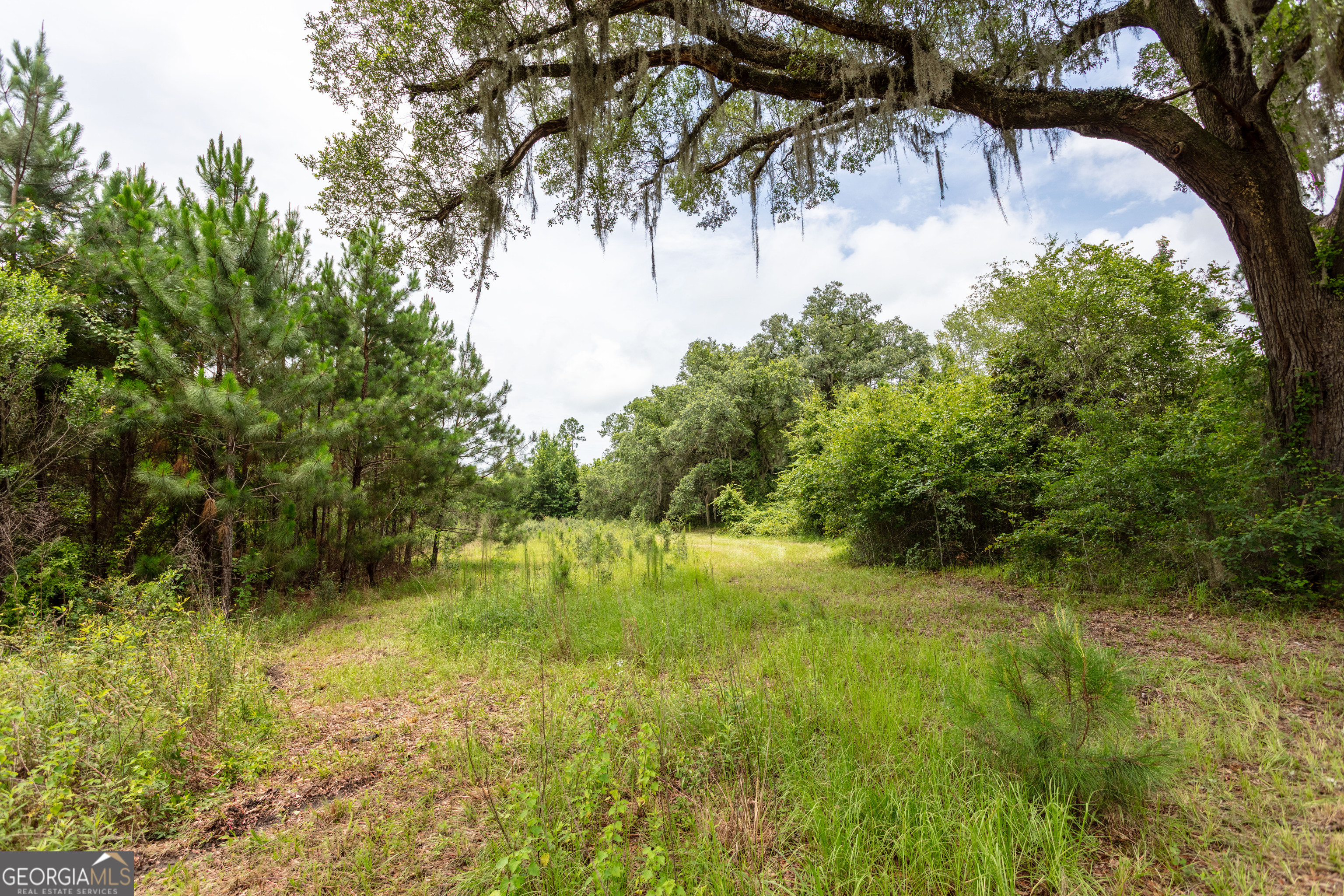 276 Mclauglin Road Property Photo 63