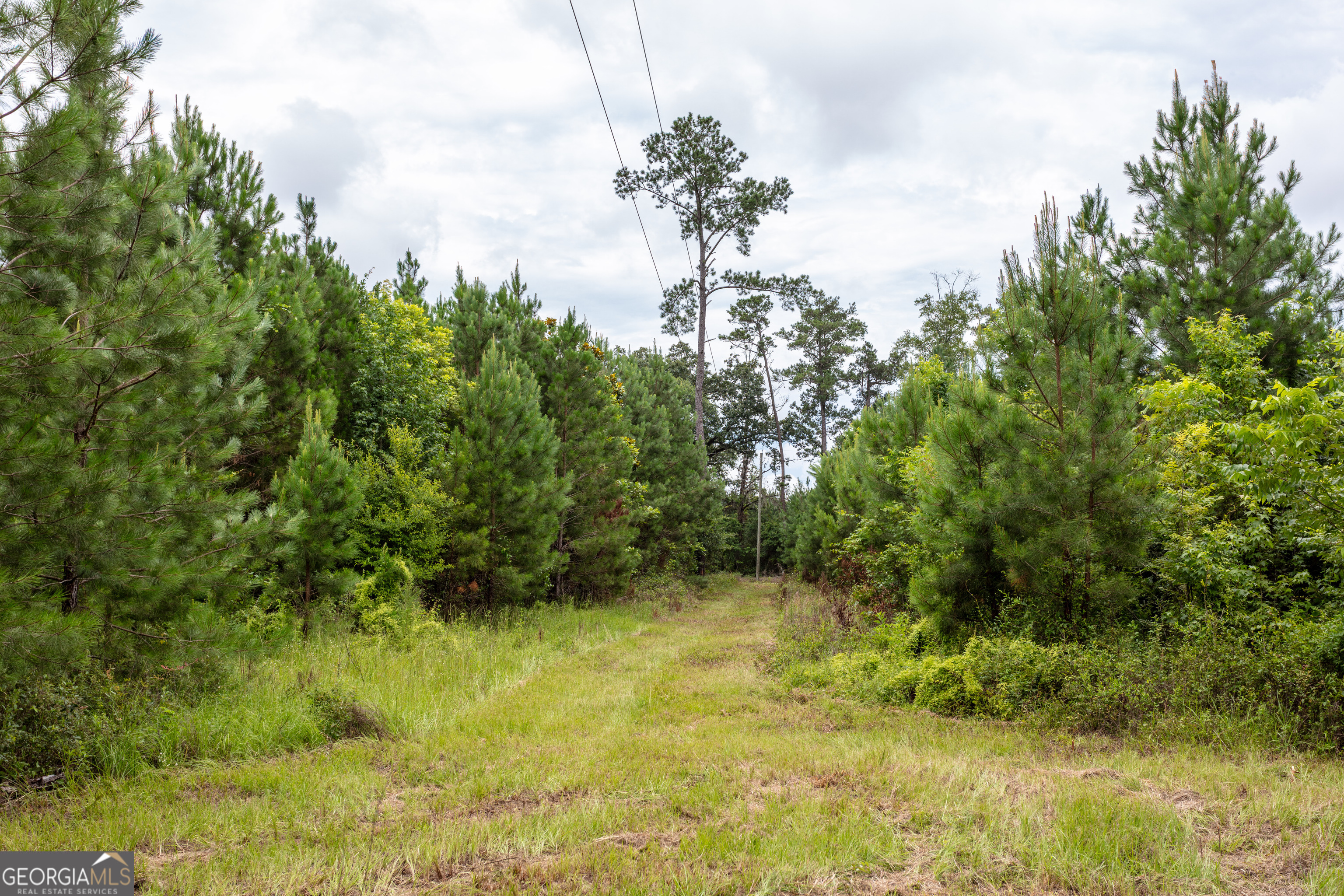 276 Mclauglin Road Property Photo 69