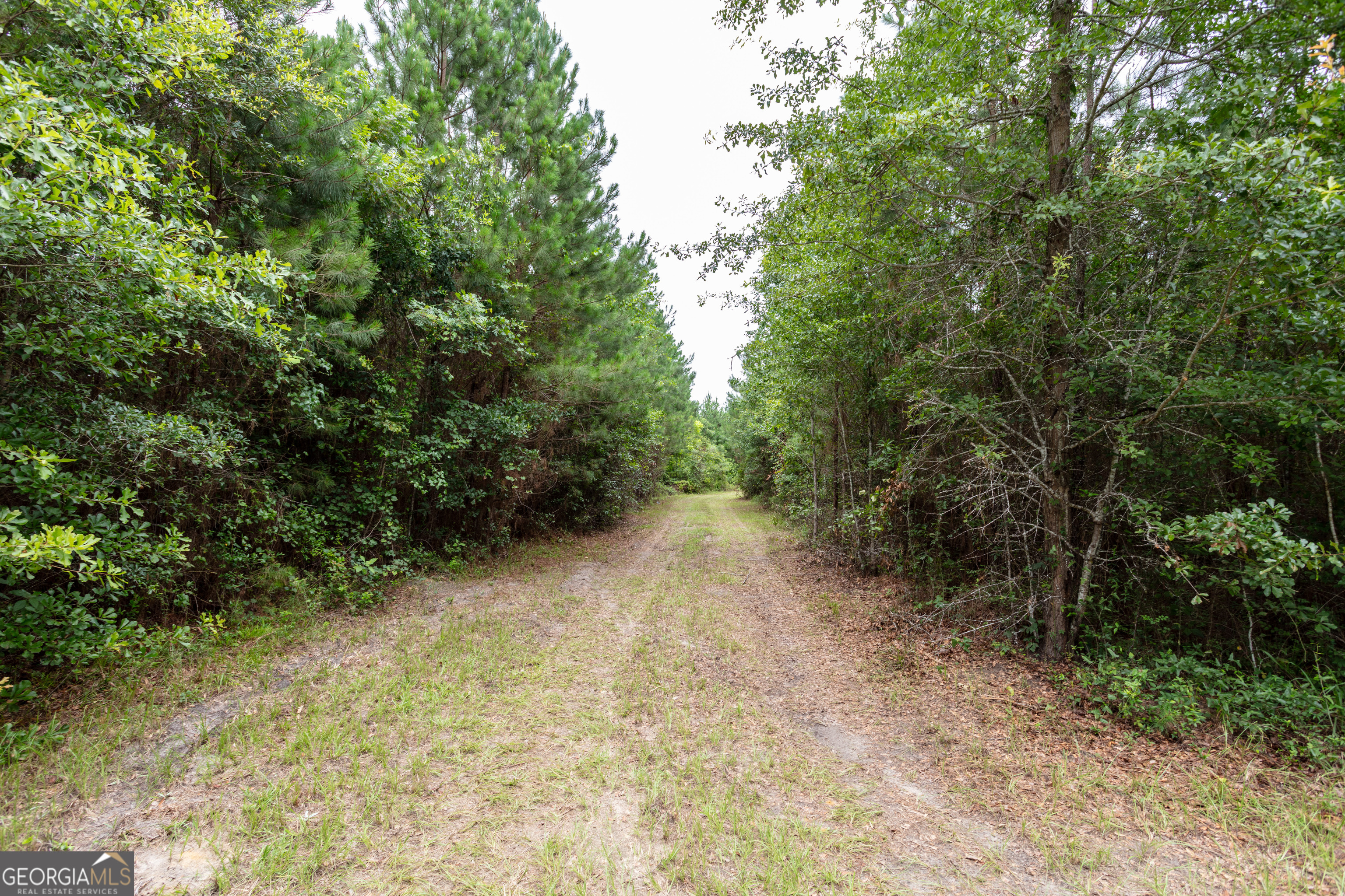 276 Mclauglin Road Property Photo 73