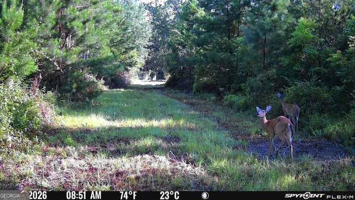 276 Mclauglin Road Property Photo 87