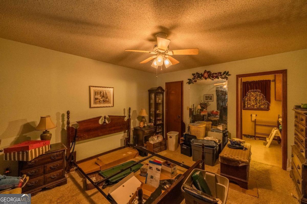 65 Eagle Chase Circle Property Photo 11