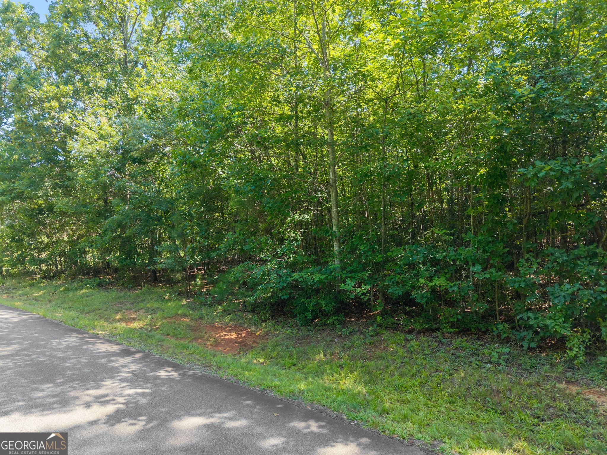 0 Hwy 255 Property Photo 5
