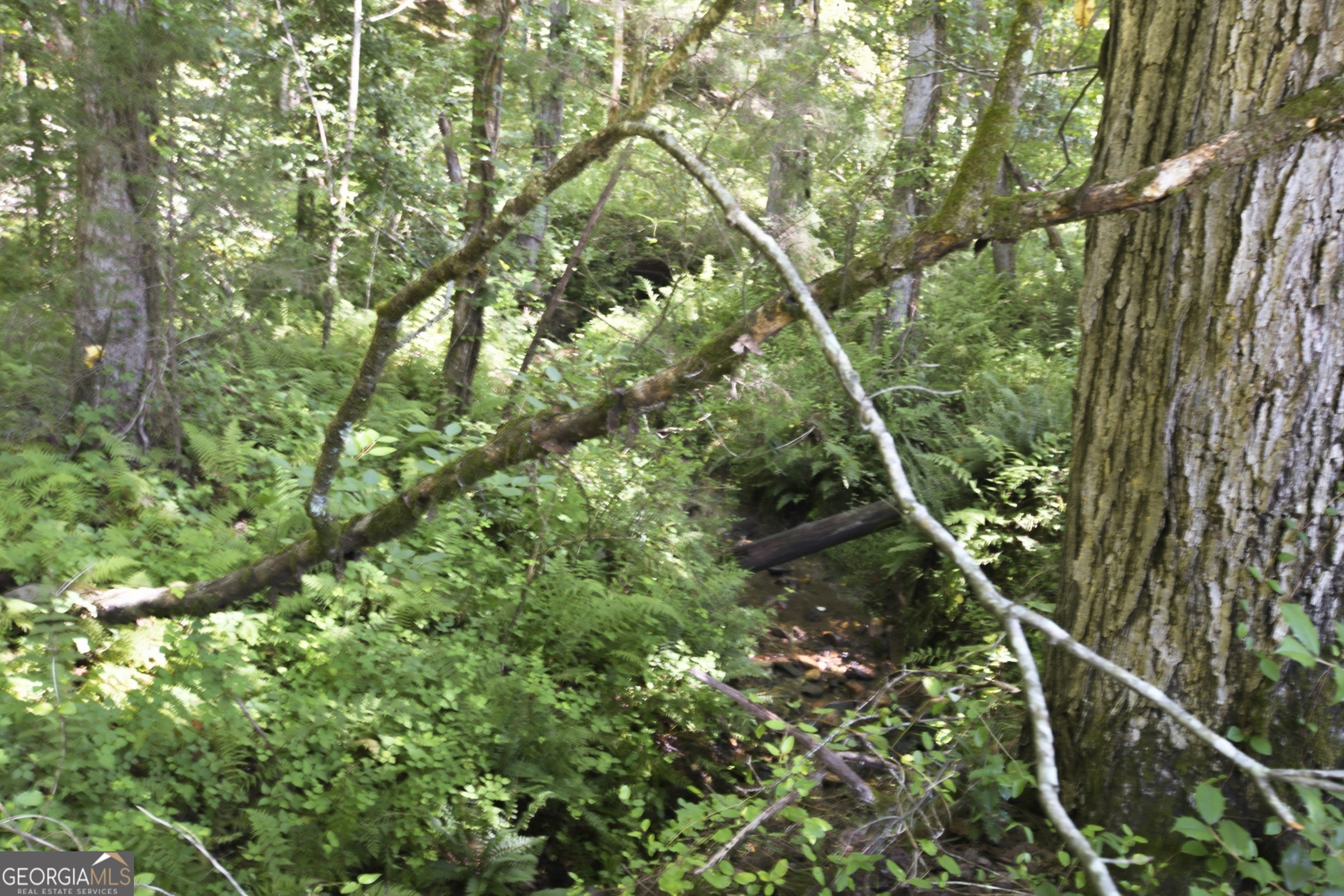 593 Amy's Creek Road Property Photo 32