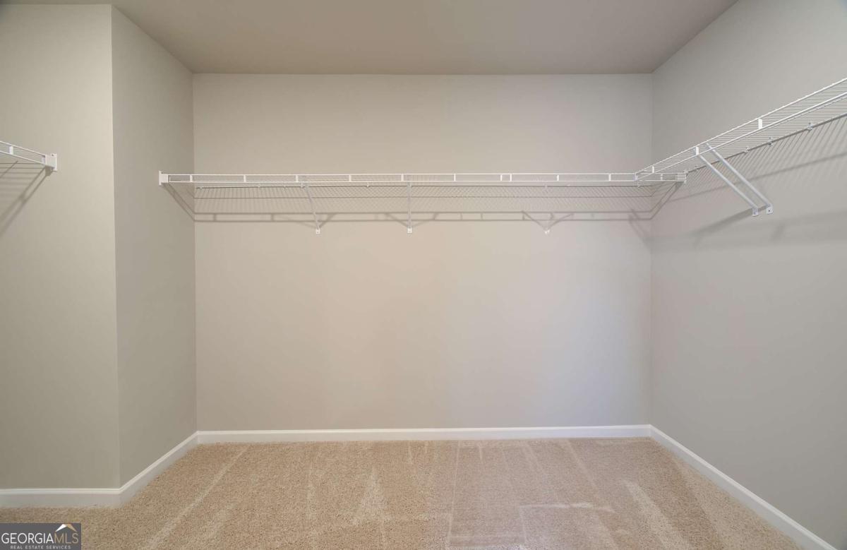 11951 Brightside Parkway Property Photo 25