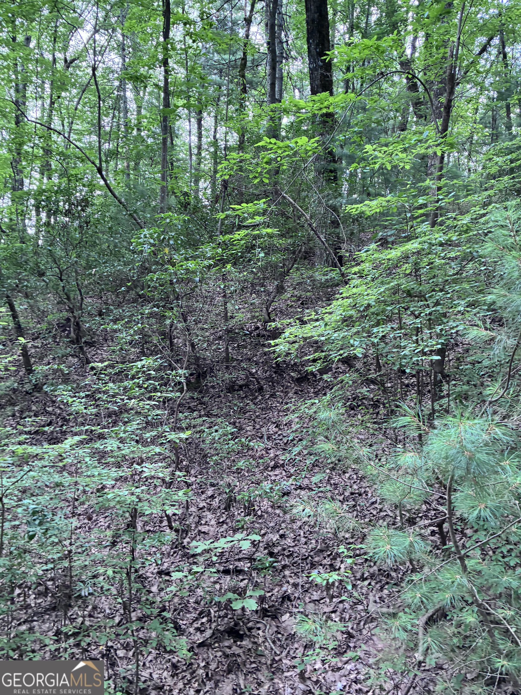 829 Morton Drive Property Photo 7