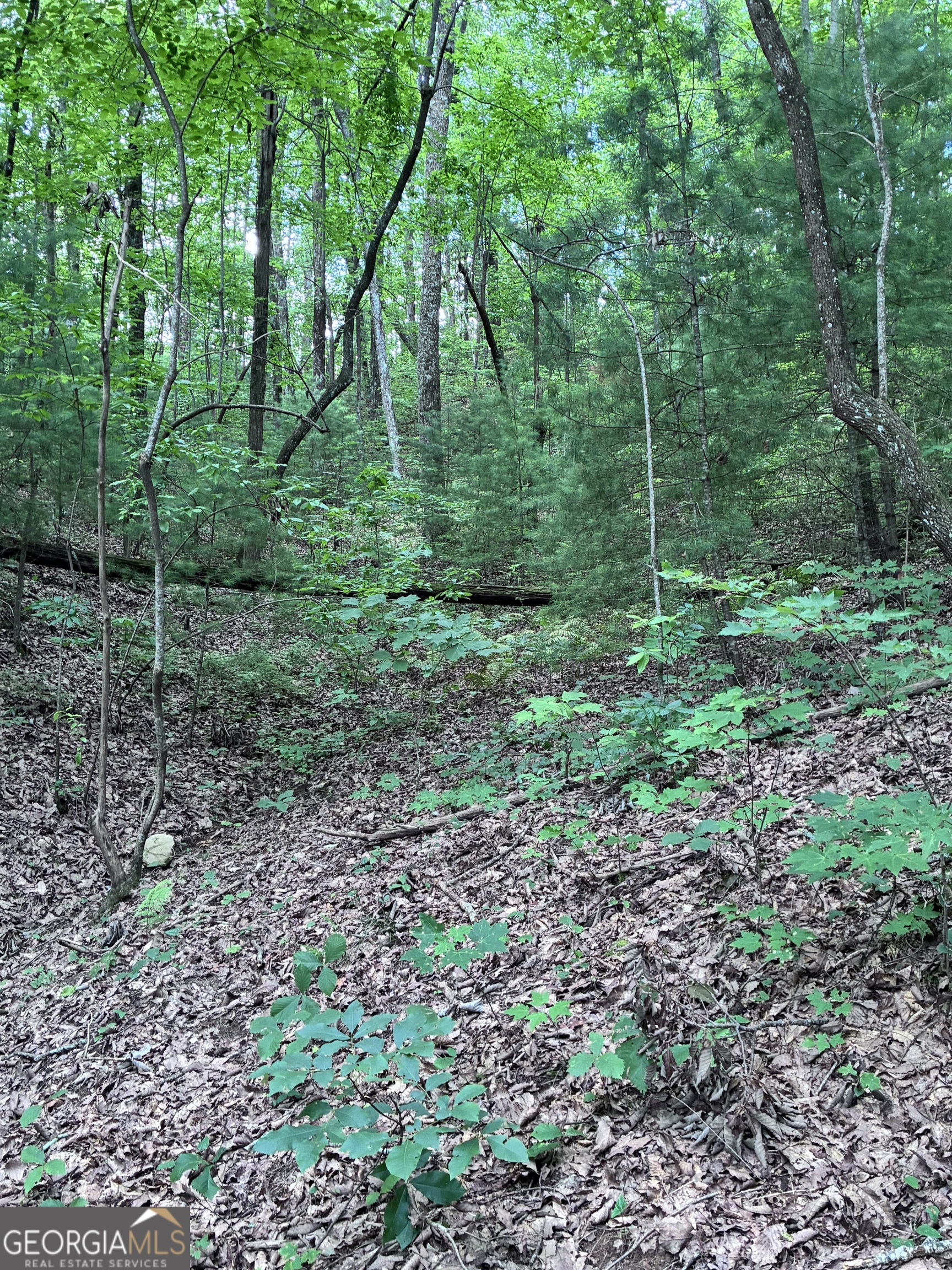 829 Morton Drive Property Photo 8