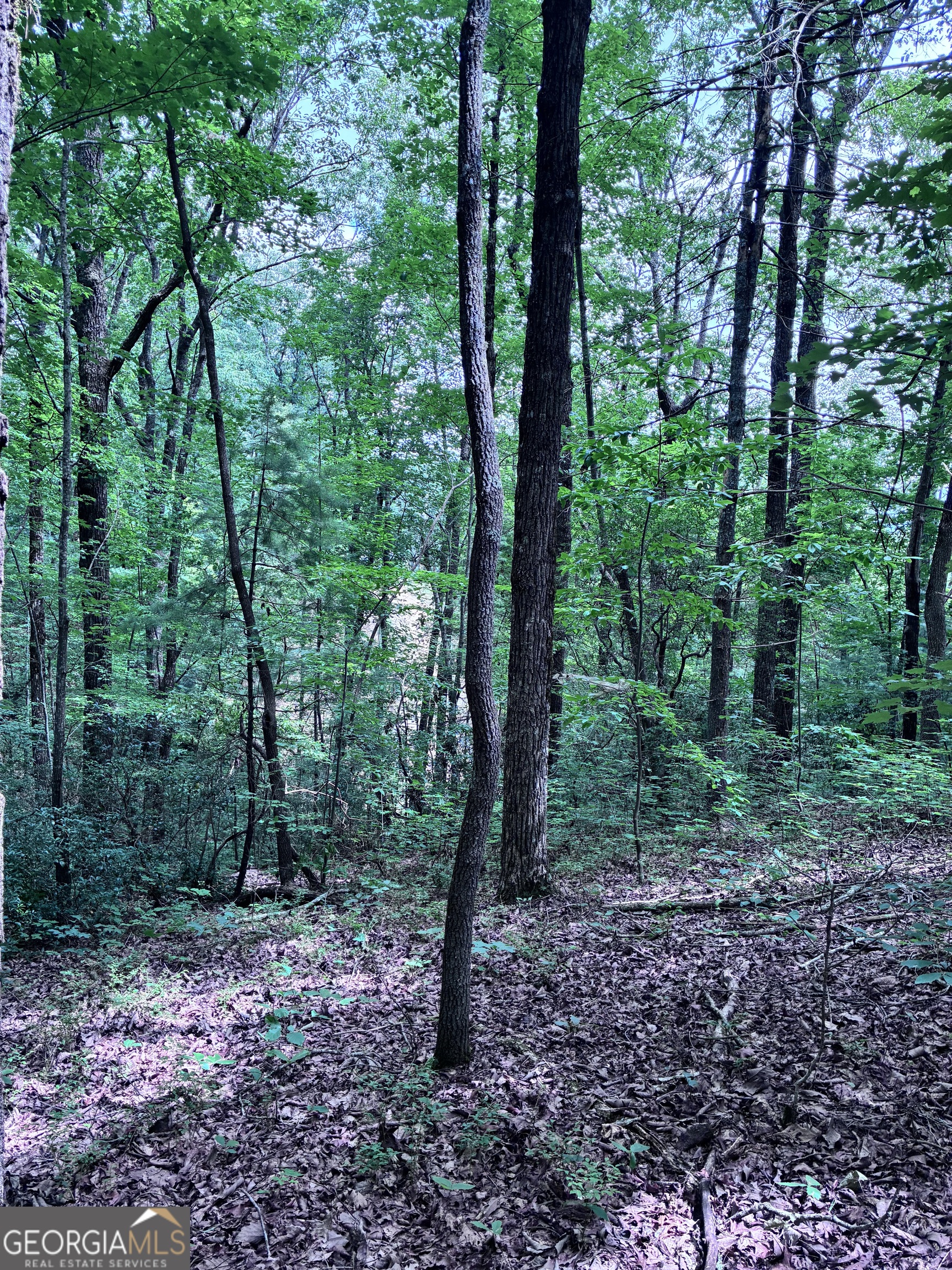 829 Morton Drive Property Photo 9