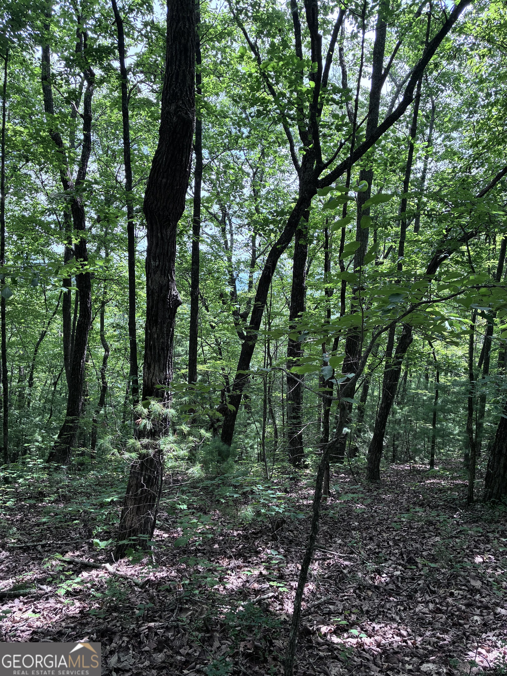 829 Morton Drive Property Photo 10