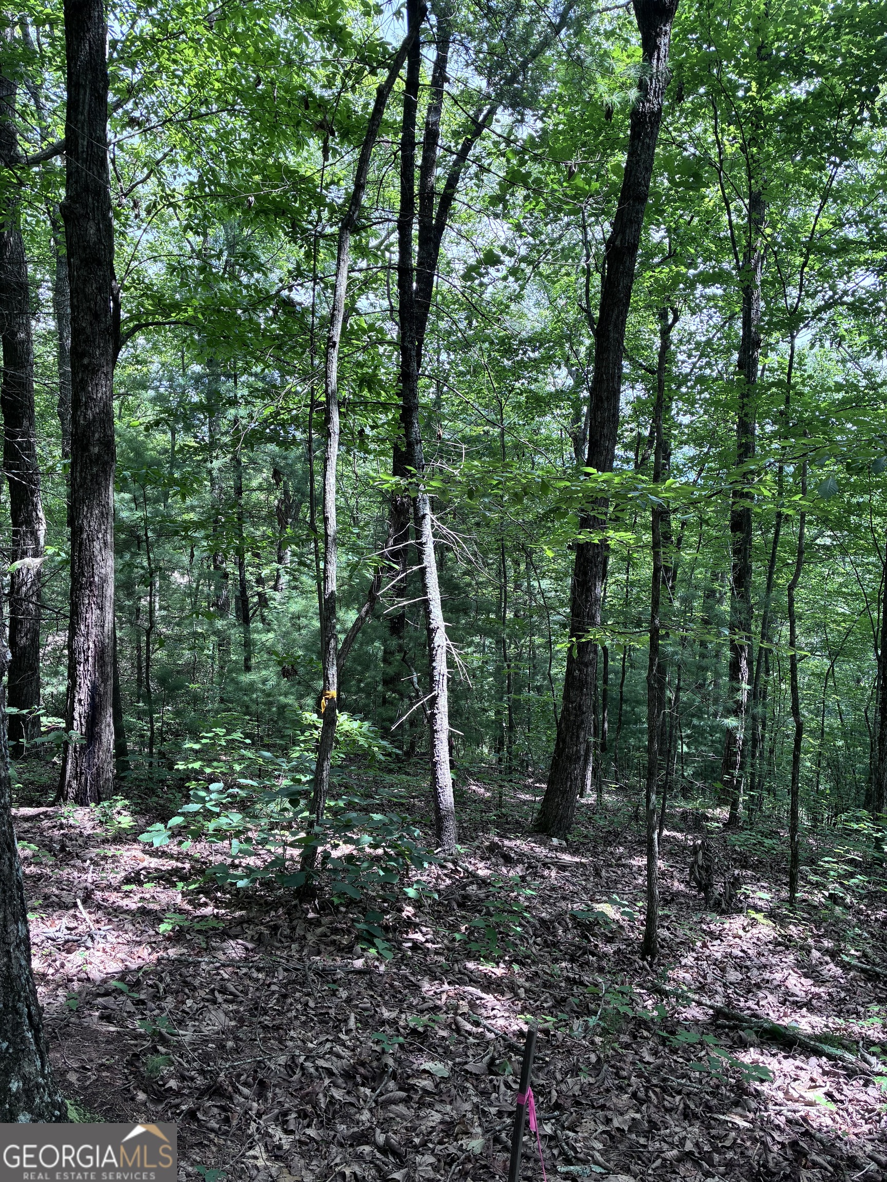 829 Morton Drive Property Photo 11