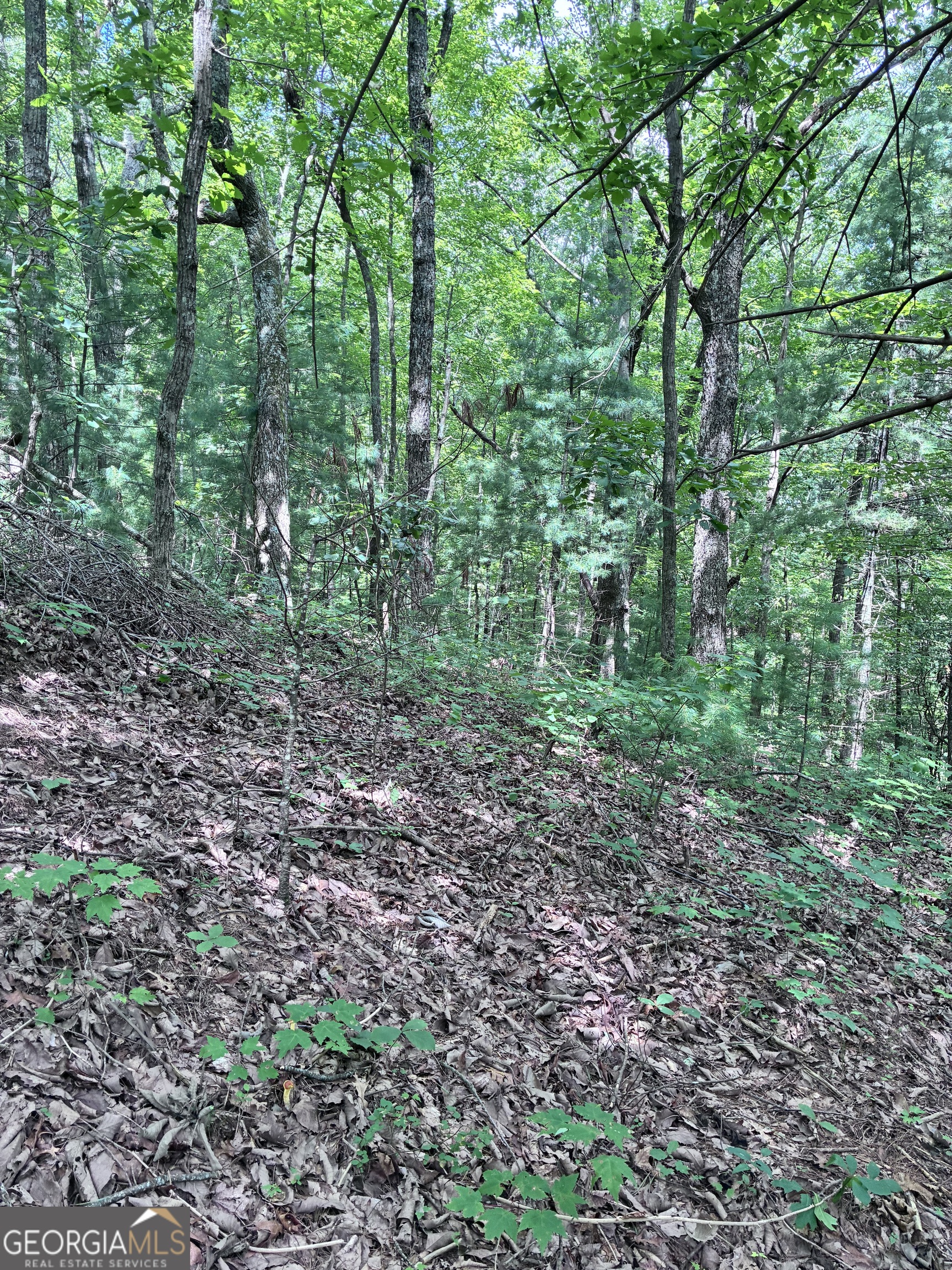 829 Morton Drive Property Photo 12