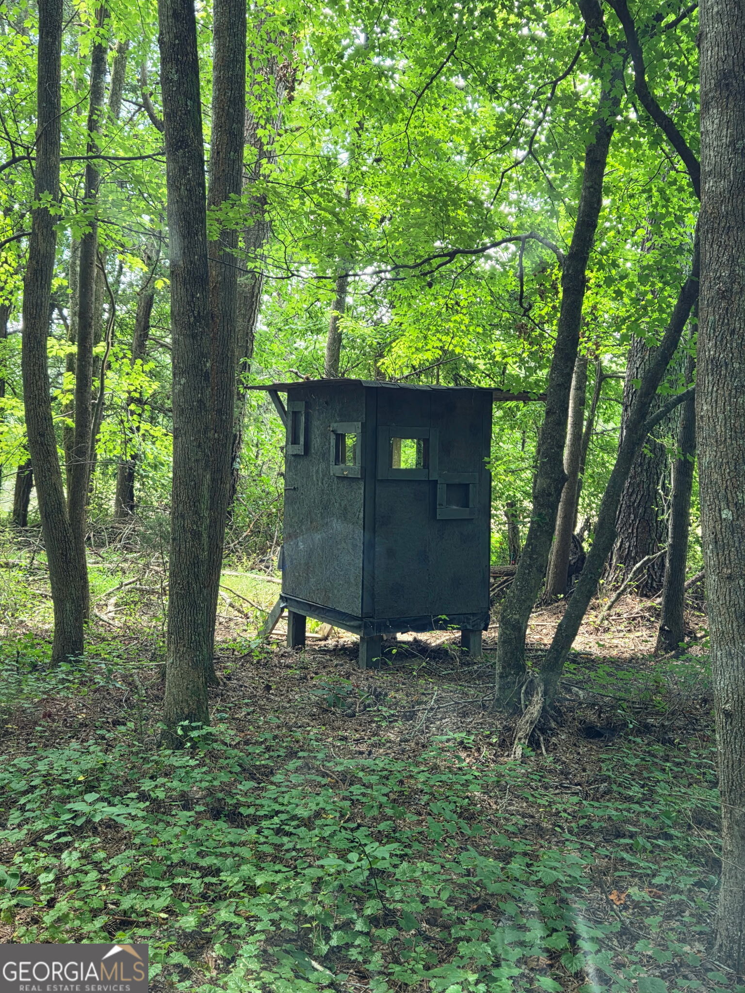 220 Long Road Property Photo 65