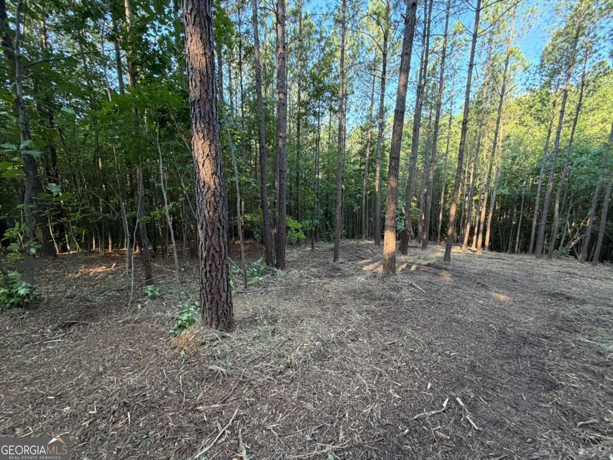 0 Lone Bear Path Property Photo 1