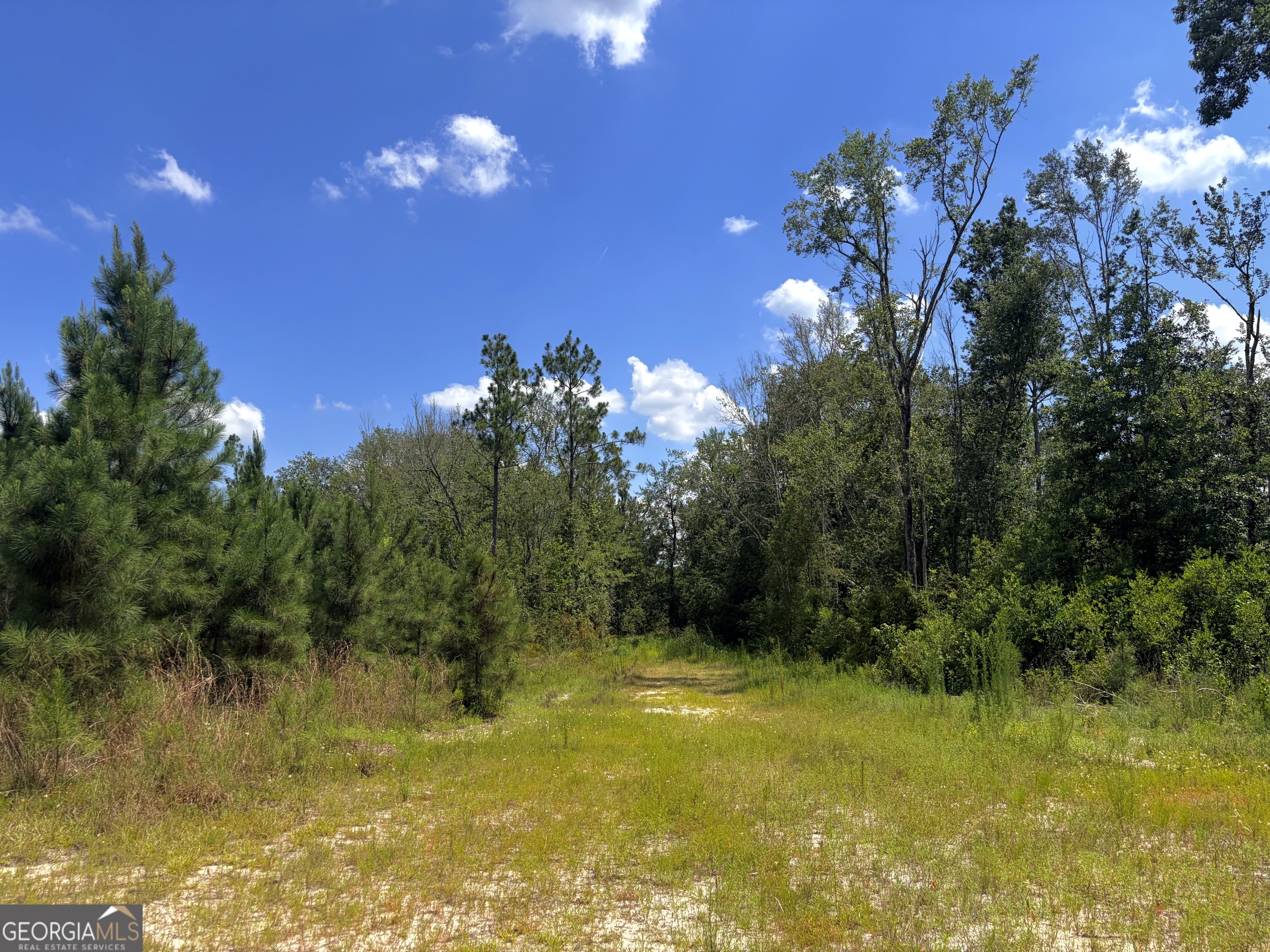 0 Ernest Carter Road Property Photo 11