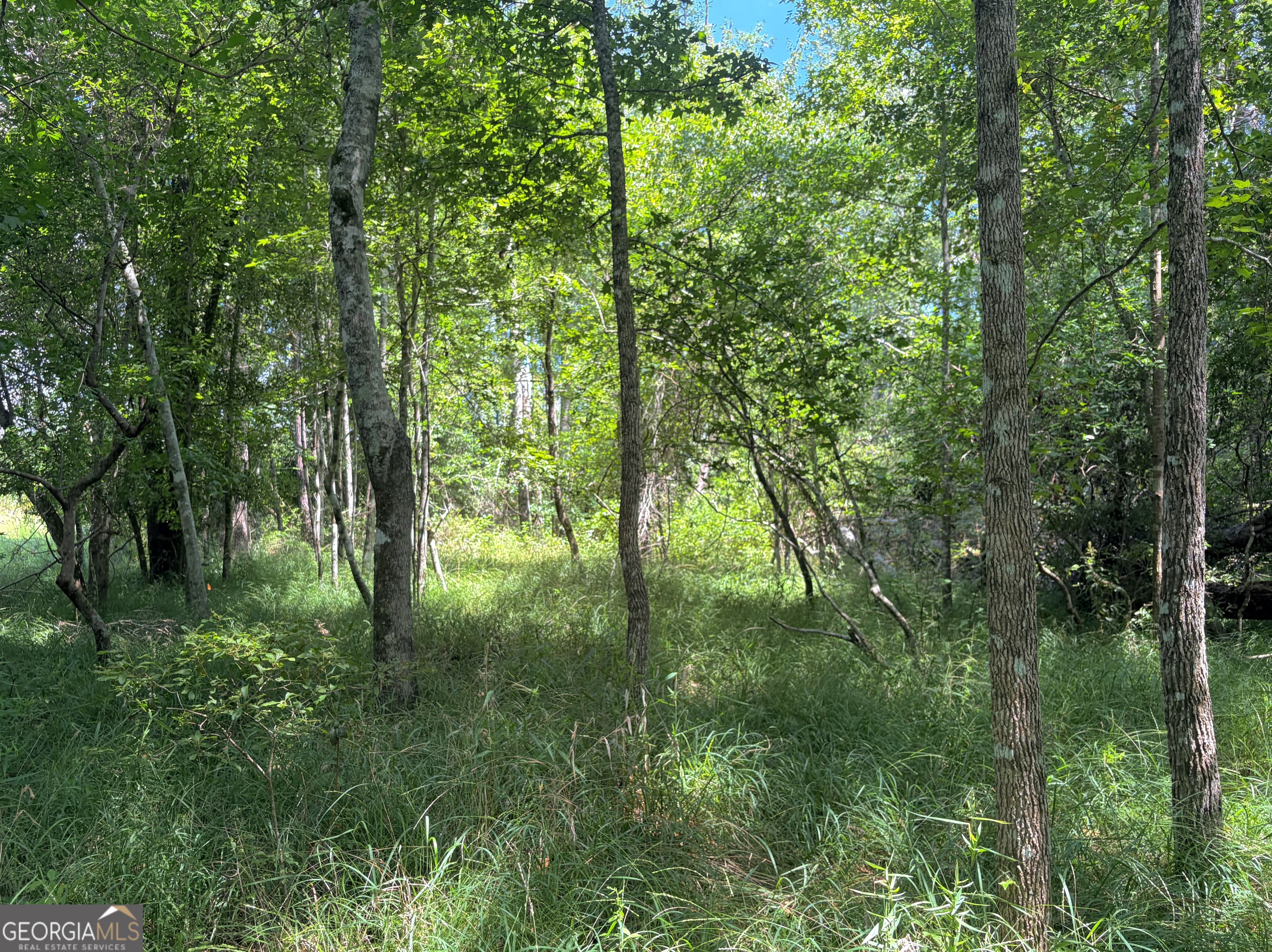 0 Ernest Carter Road Property Photo 12