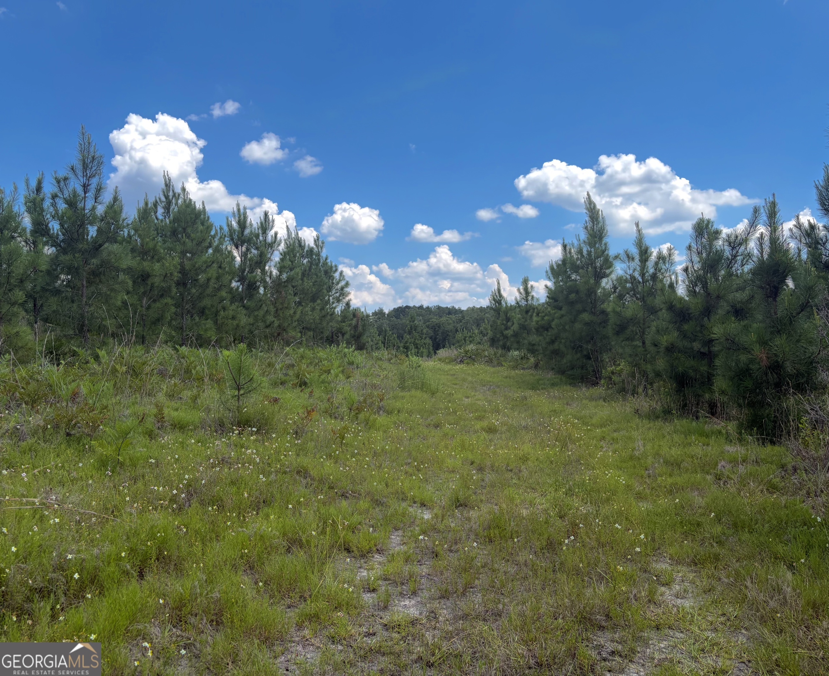 0 Ernest Carter Road Property Photo 15