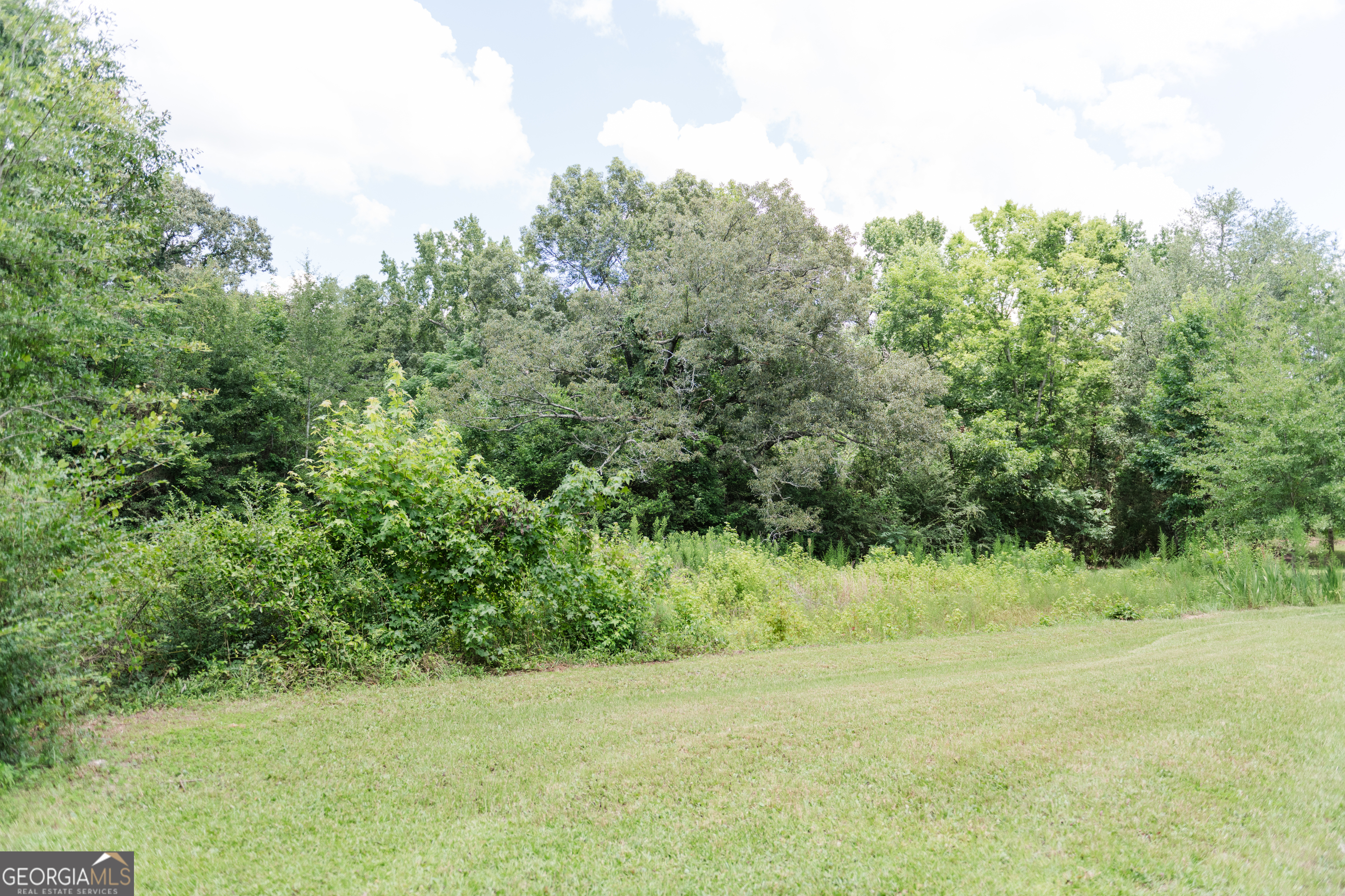 348 Americus Highway Property Photo 49