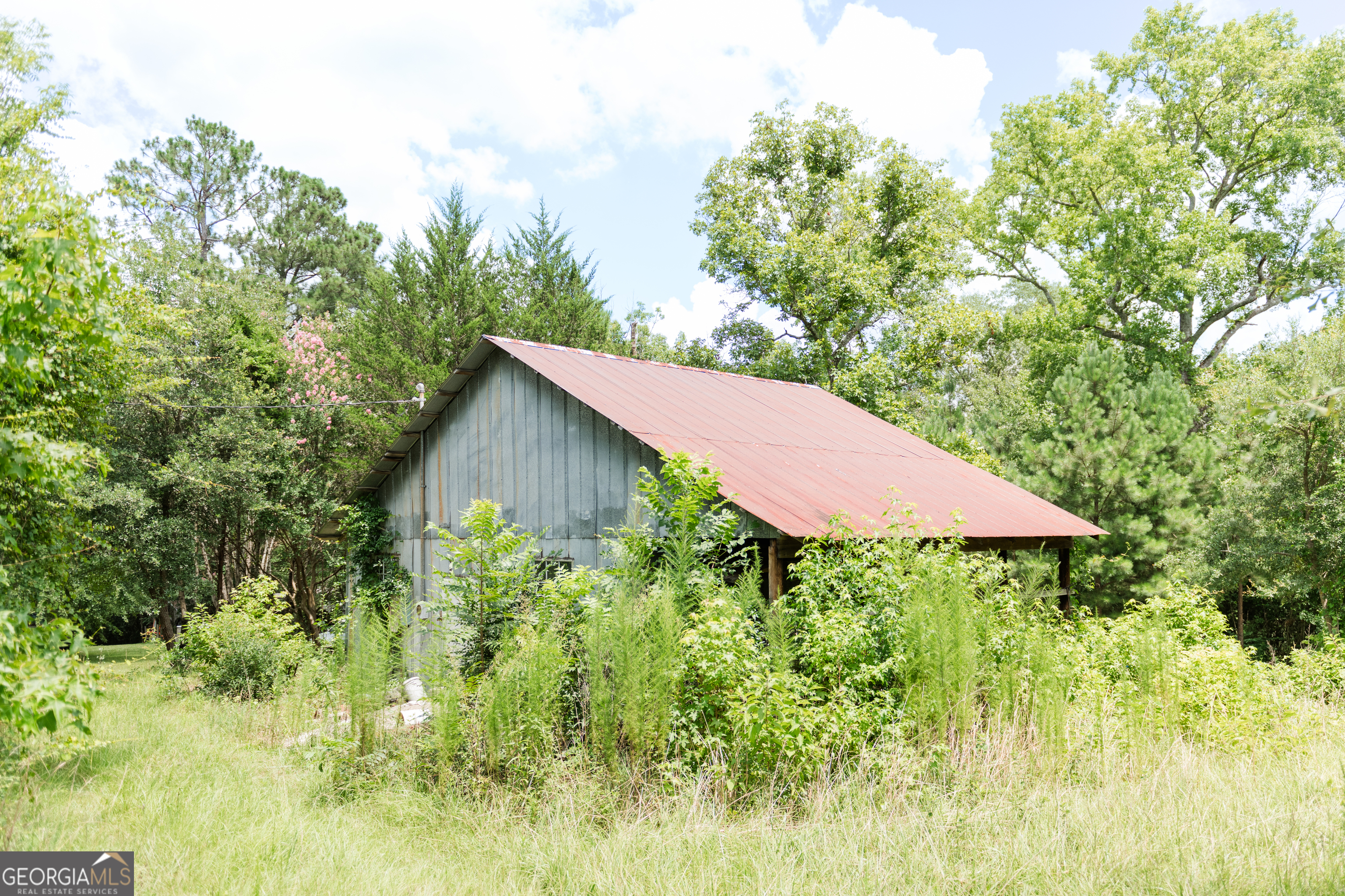 348 Americus Highway Property Photo 50