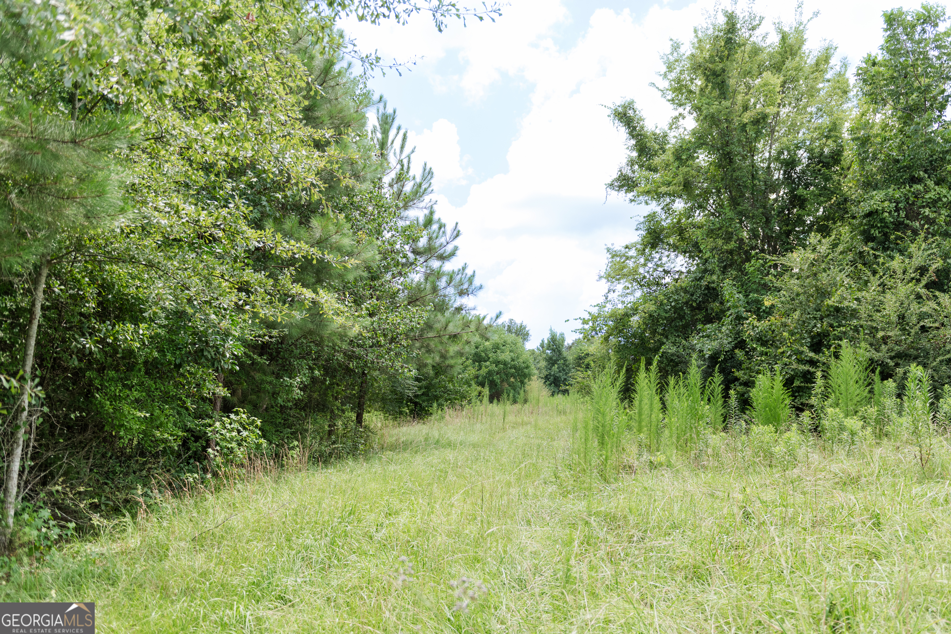 348 Americus Highway Property Photo 51