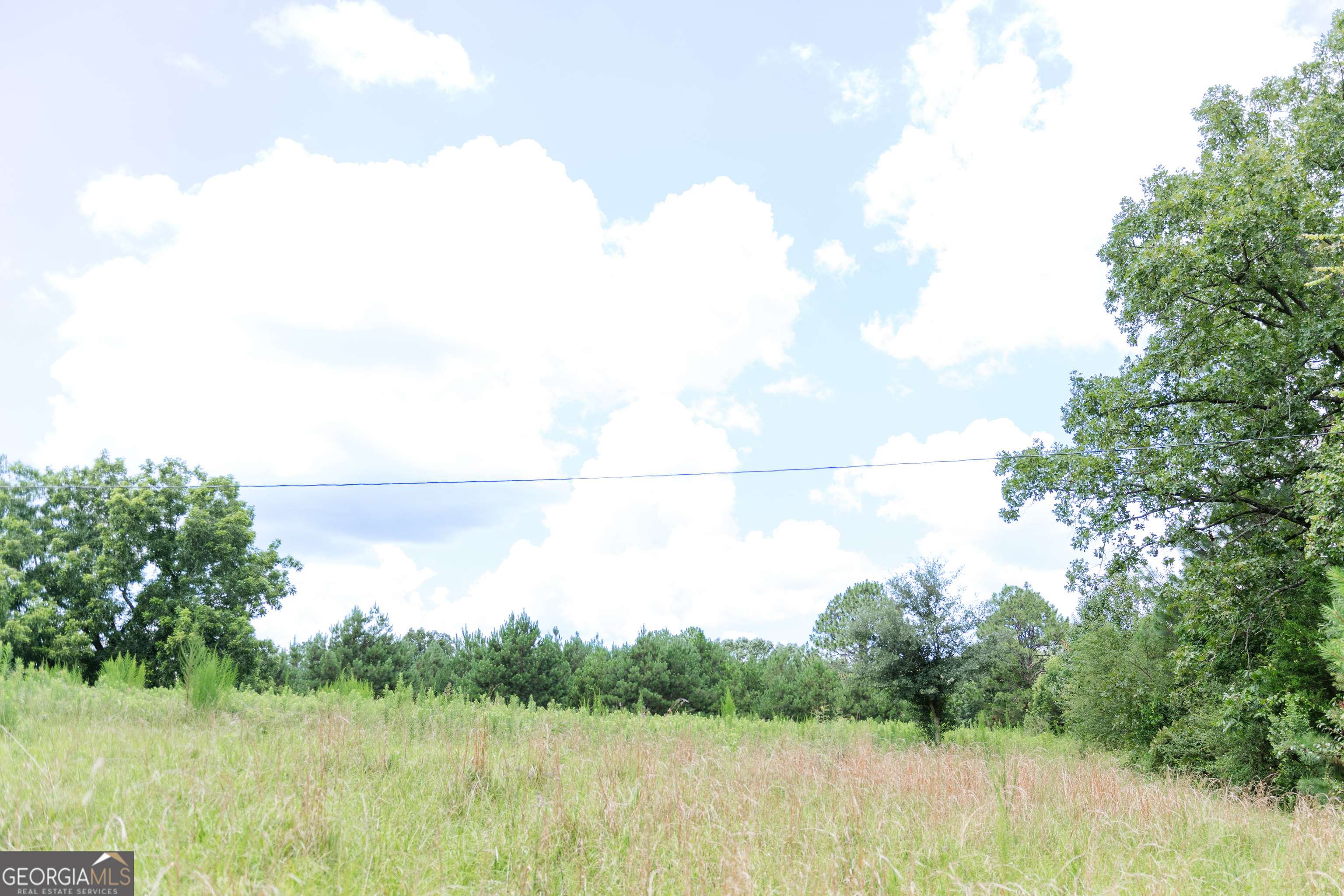 348 Americus Highway Property Photo 52
