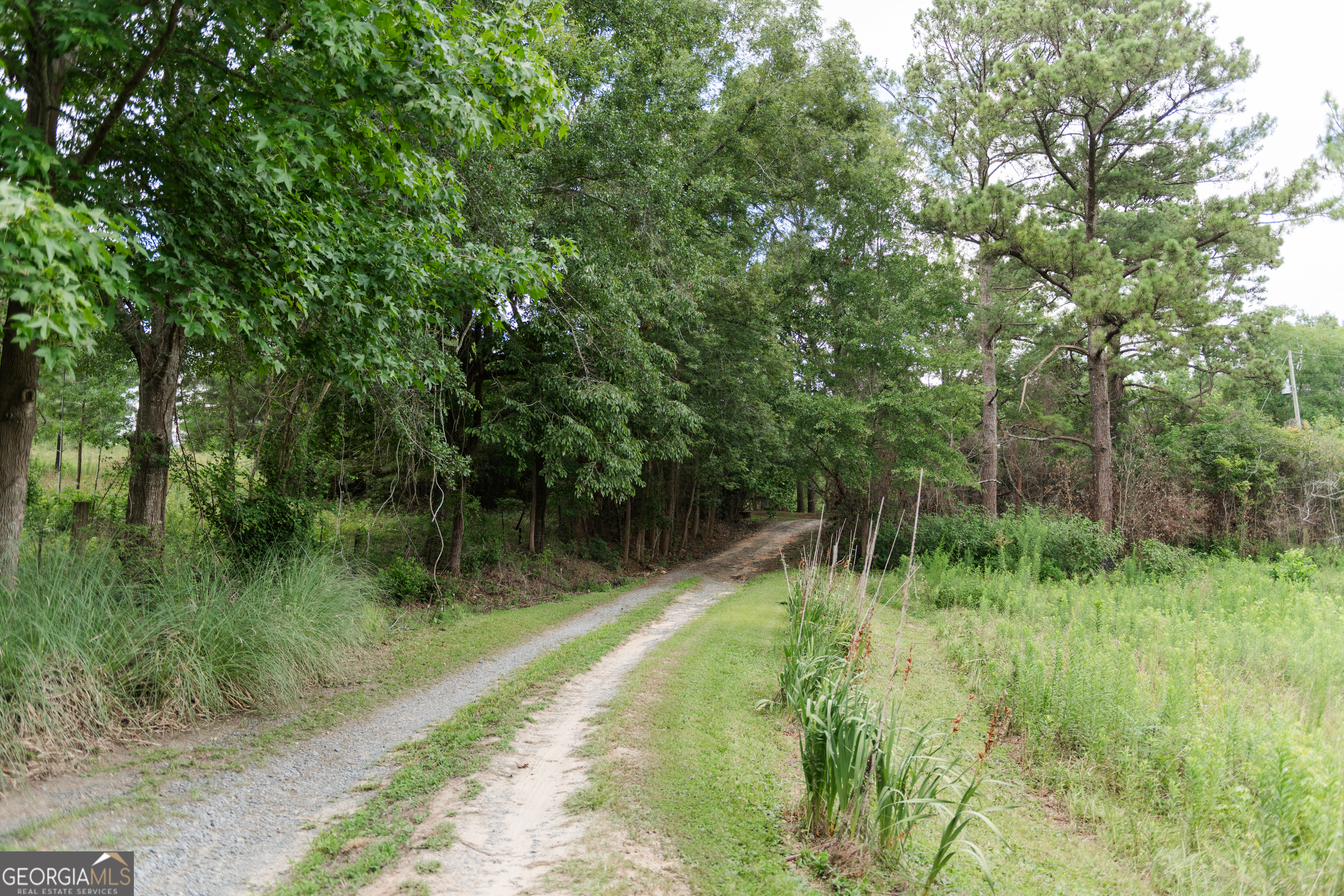 348 Americus Highway Property Photo 55