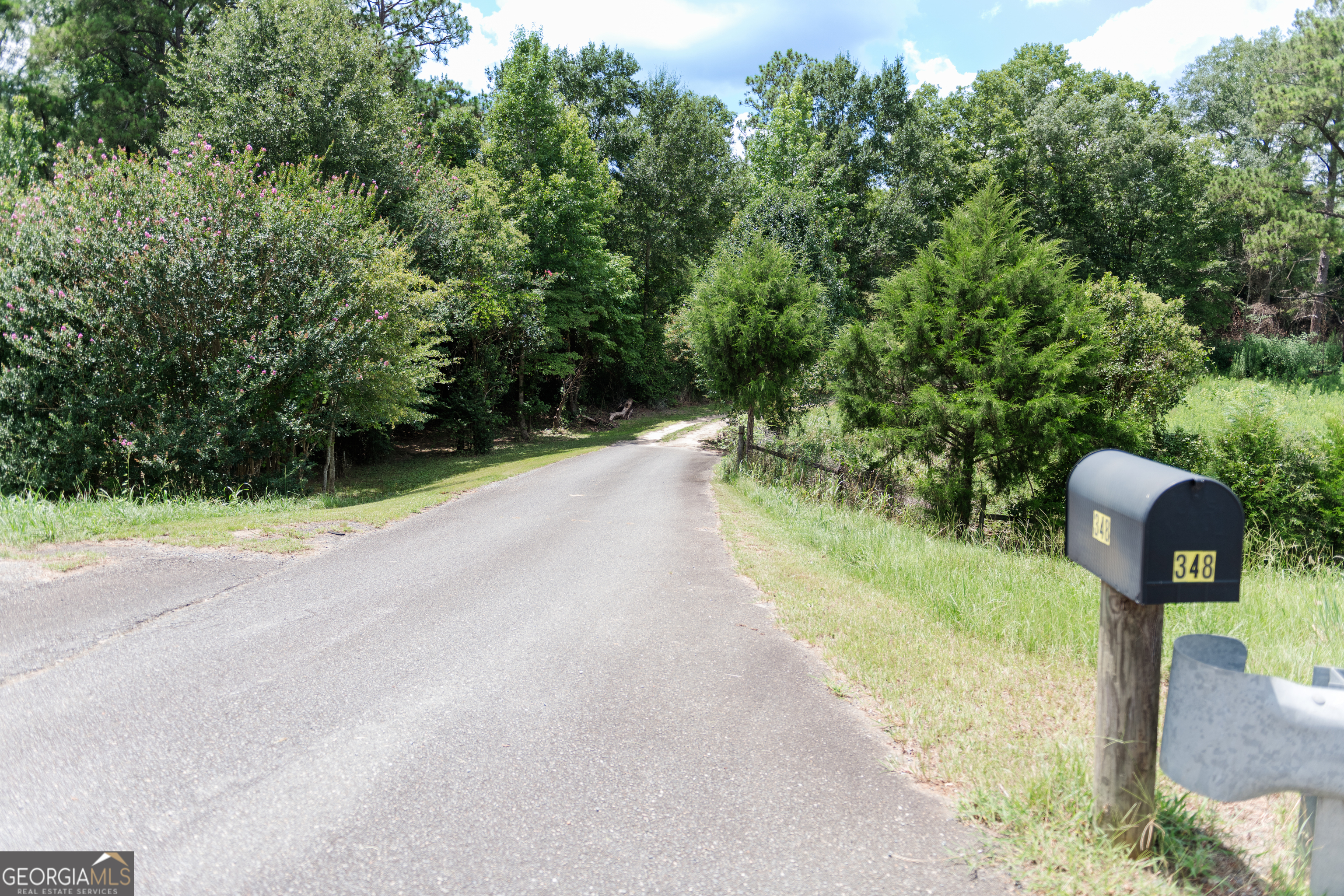 348 Americus Highway Property Photo 59