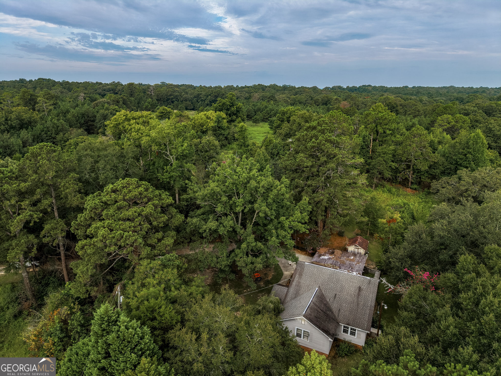 348 Americus Highway Property Photo 63