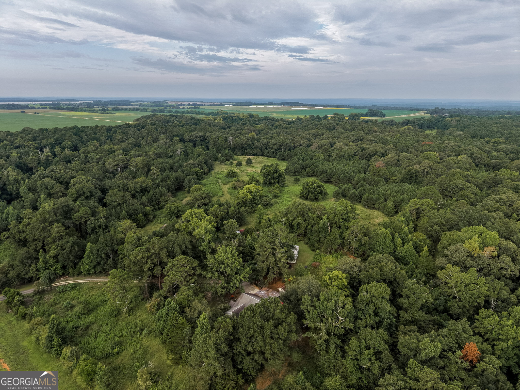 348 Americus Highway Property Photo 65