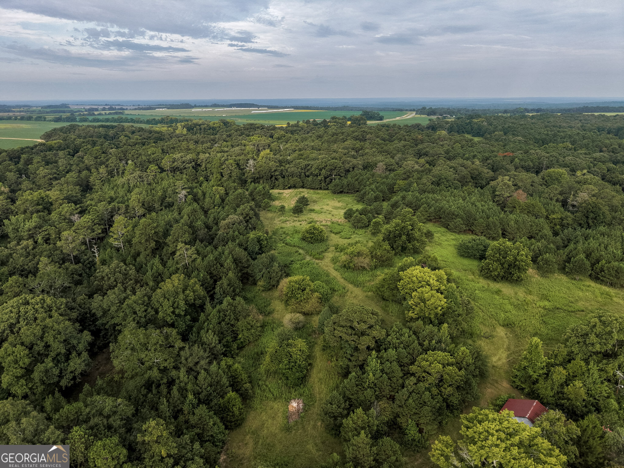348 Americus Highway Property Photo 68