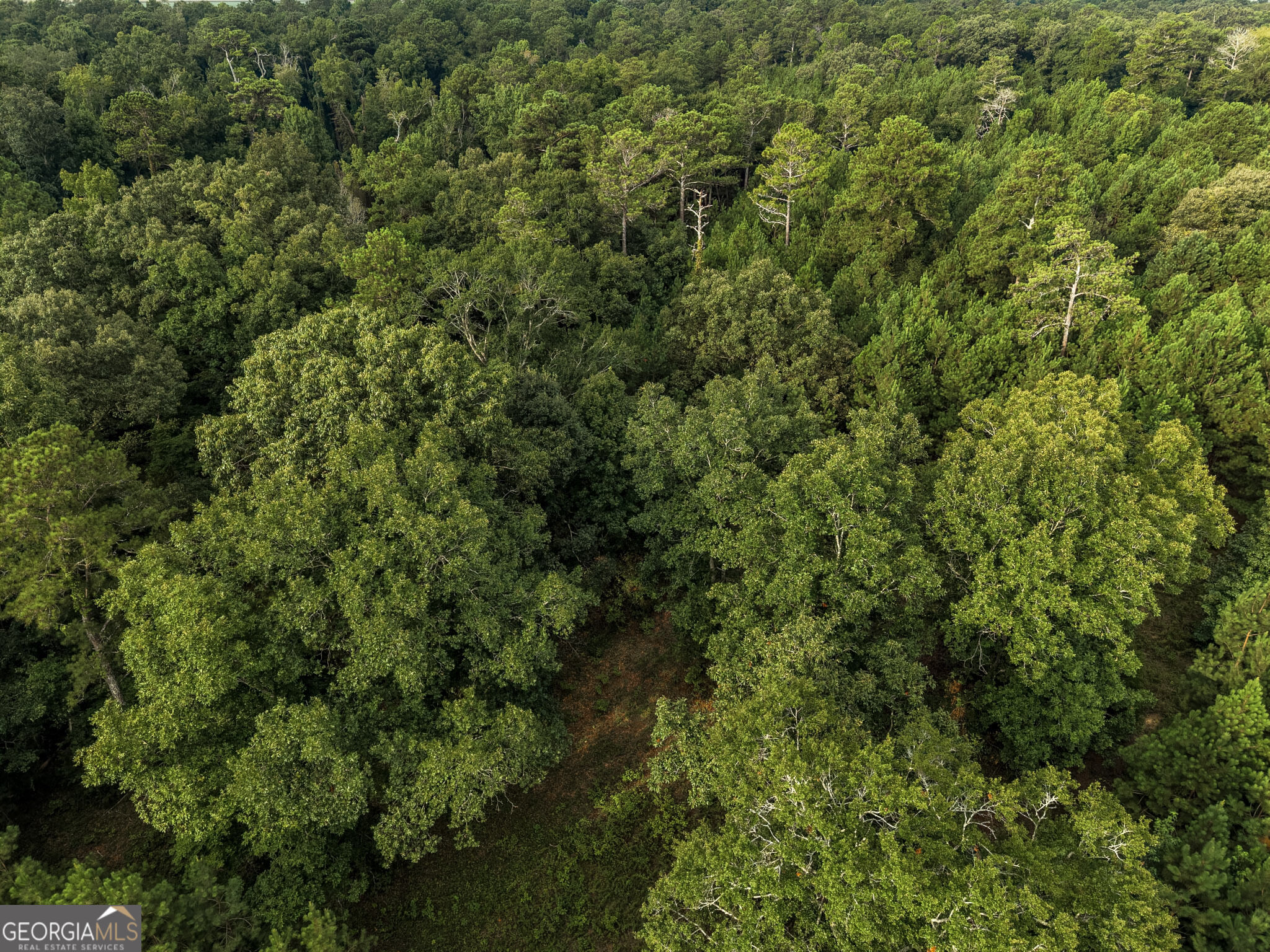 348 Americus Highway Property Photo 69