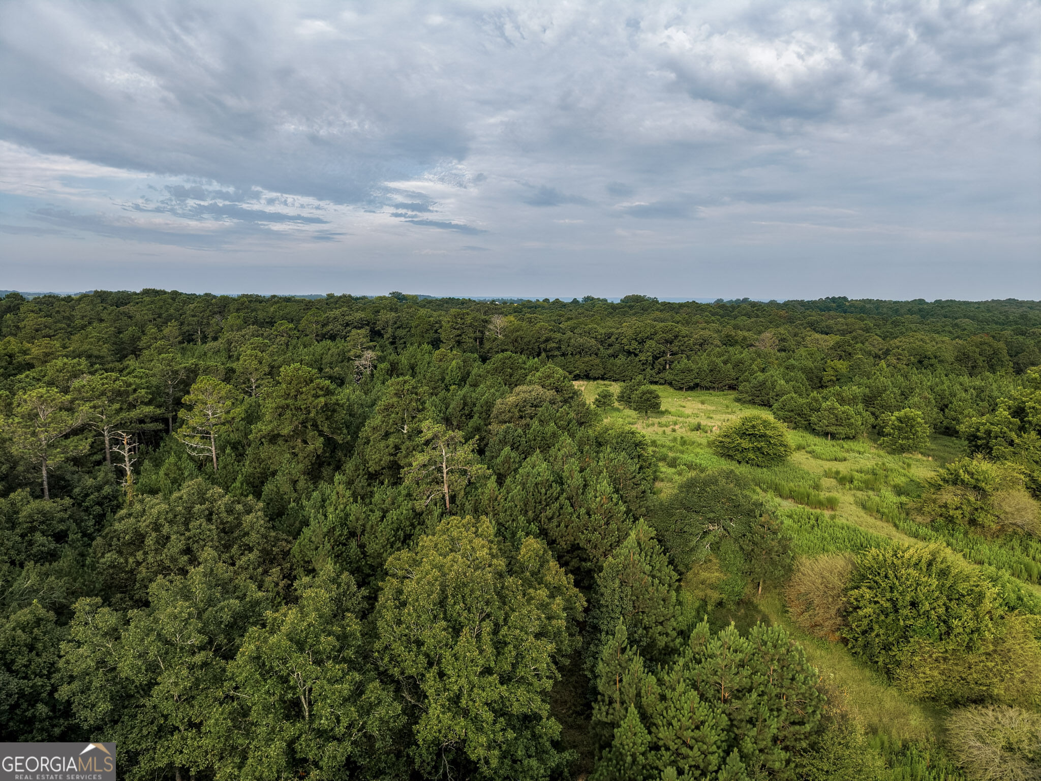 348 Americus Highway Property Photo 70