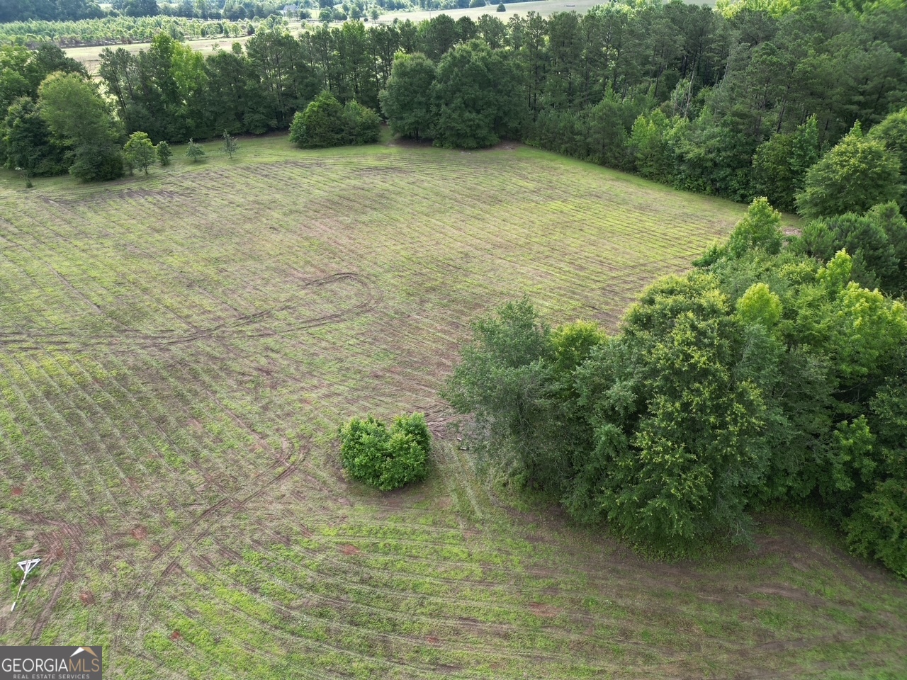 1423 Imlac Road Property Photo 11