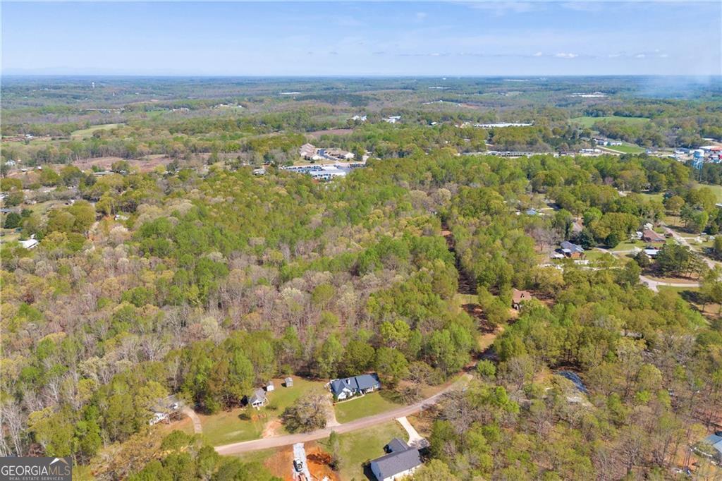 603 Springdale Drive Property Photo 4