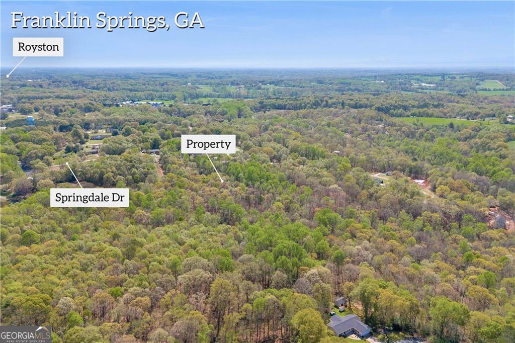603 Springdale Drive Property Photo 12
