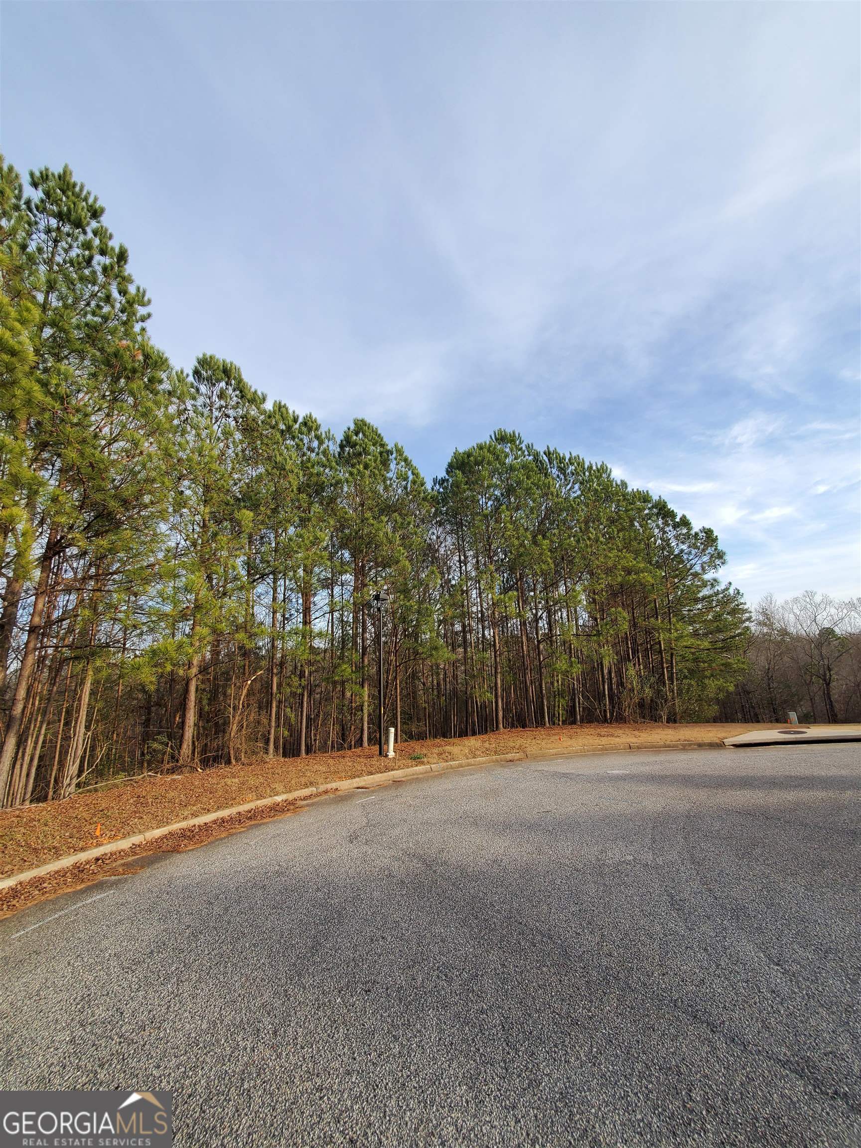 7731 Windswept Way Property Photo 5