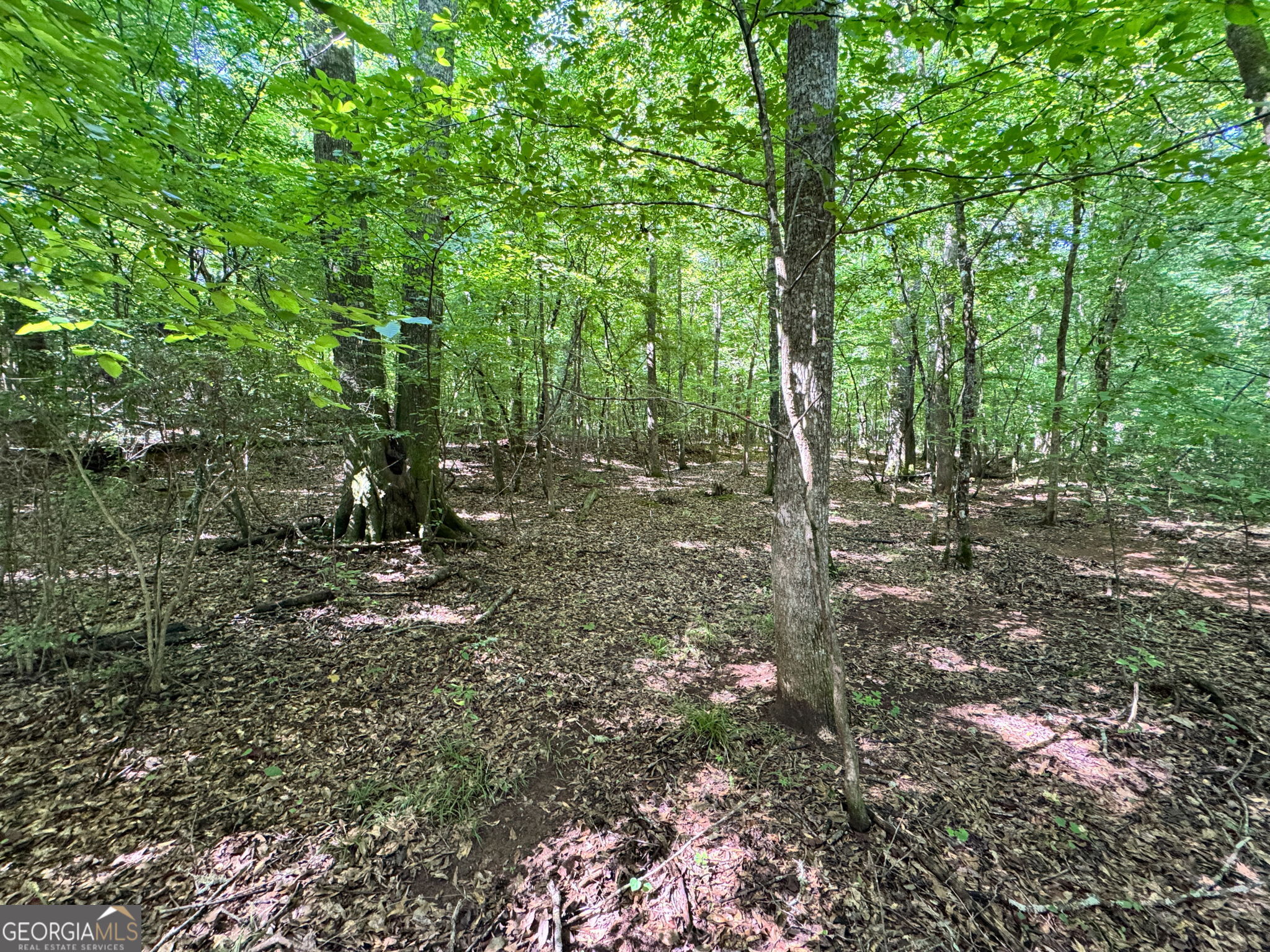 104 Ridge Way Property Photo 15