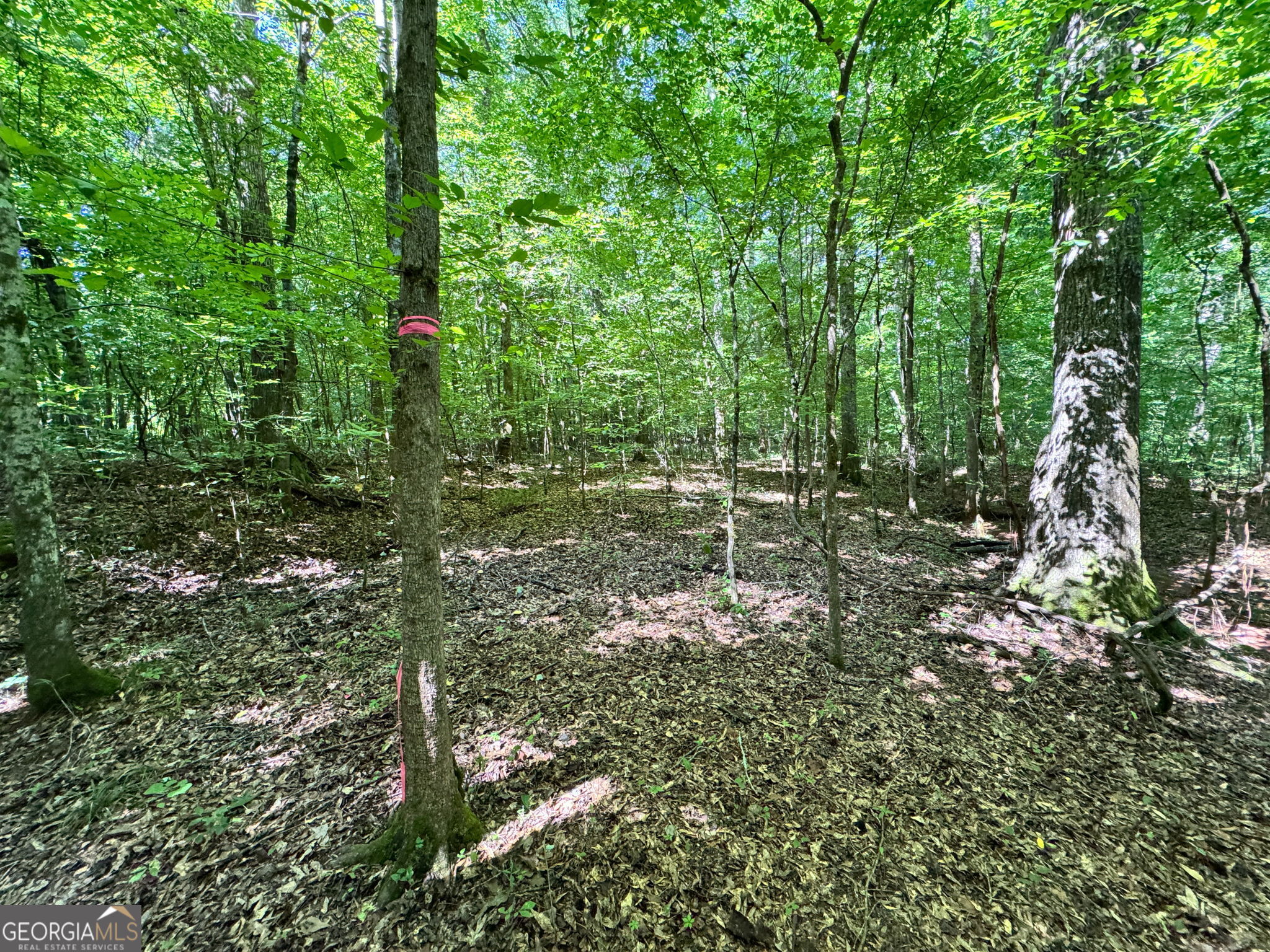 104 Ridge Way Property Photo 16