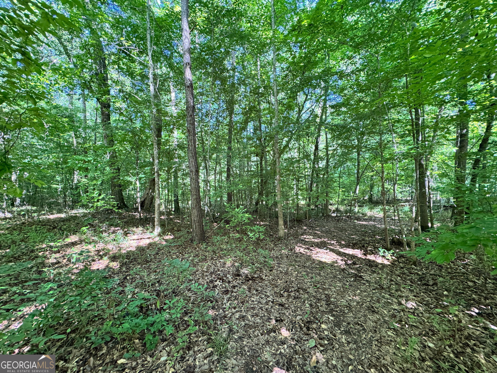 104 Ridge Way Property Photo 19