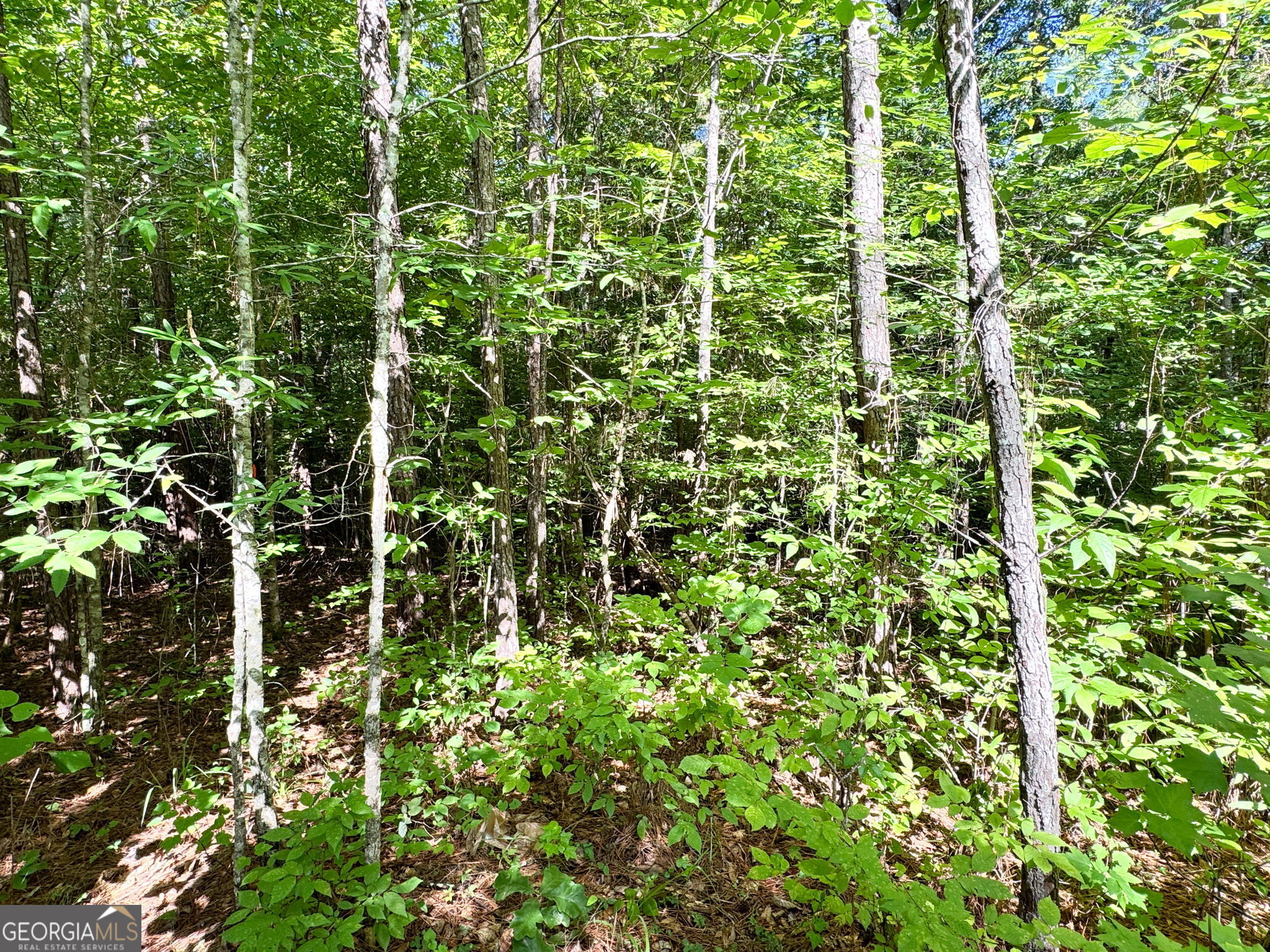 104 Ridge Way Property Photo 31
