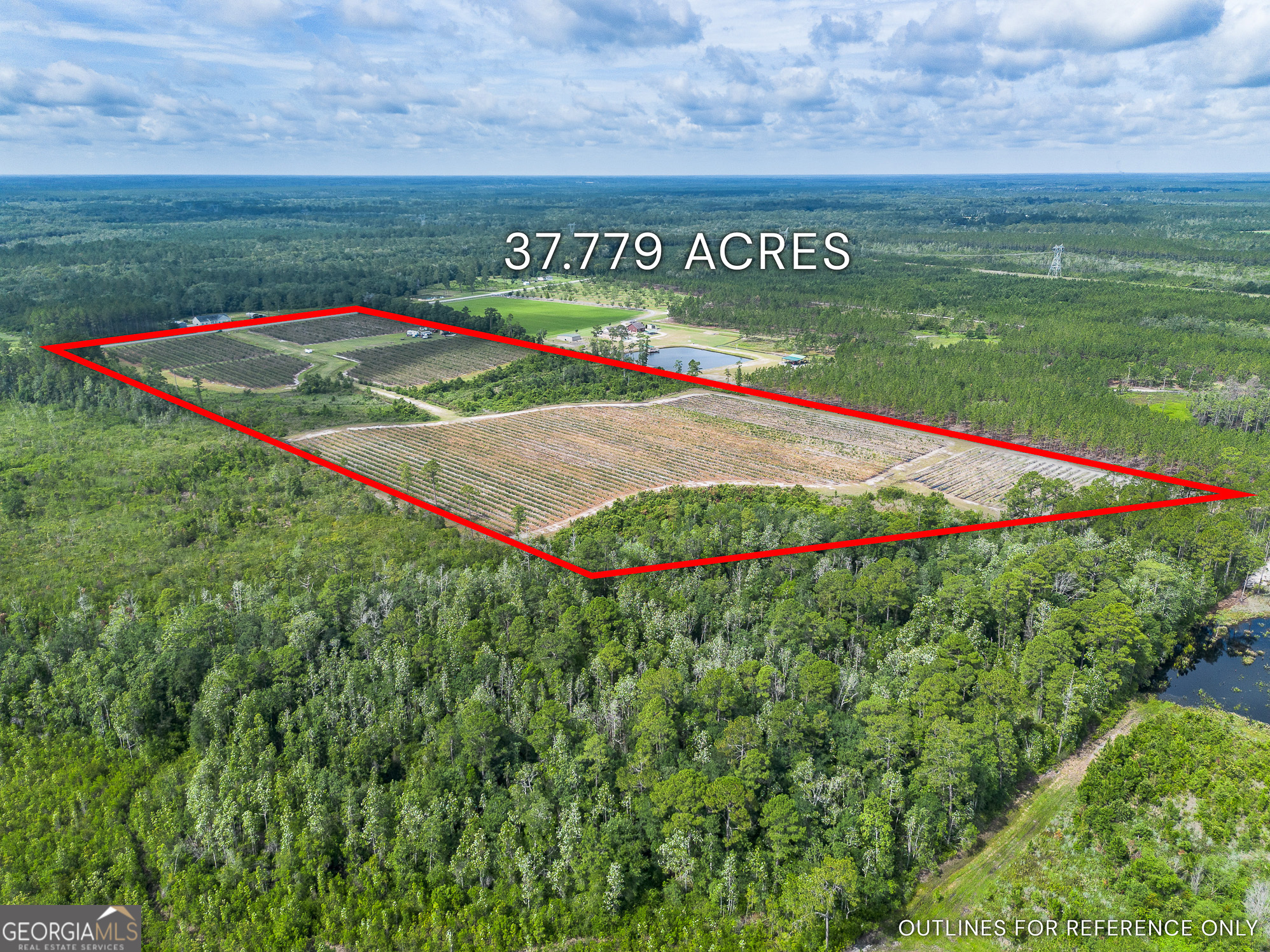 7848 Trudie Road Property Photo 2