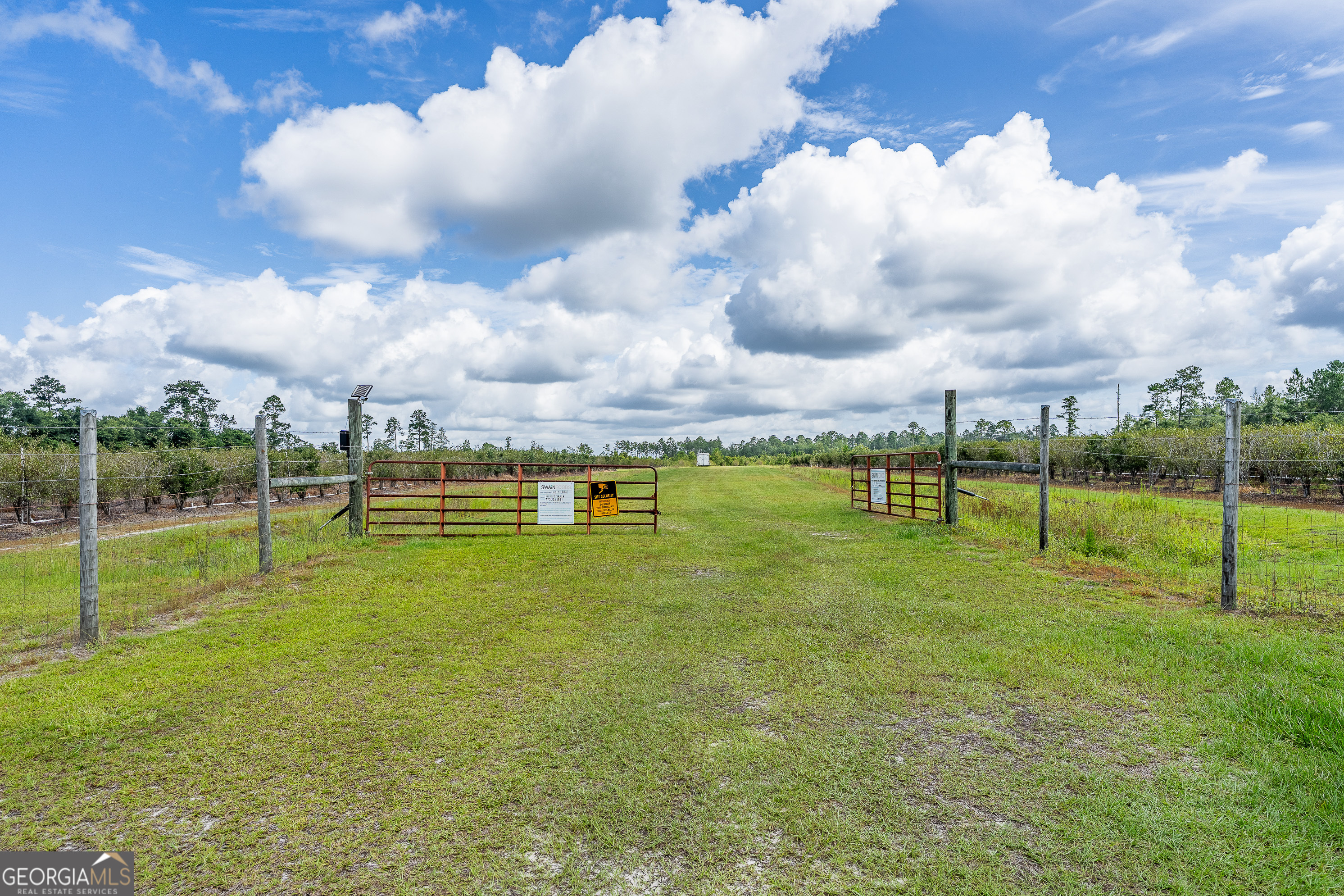 7848 Trudie Road Property Photo 16