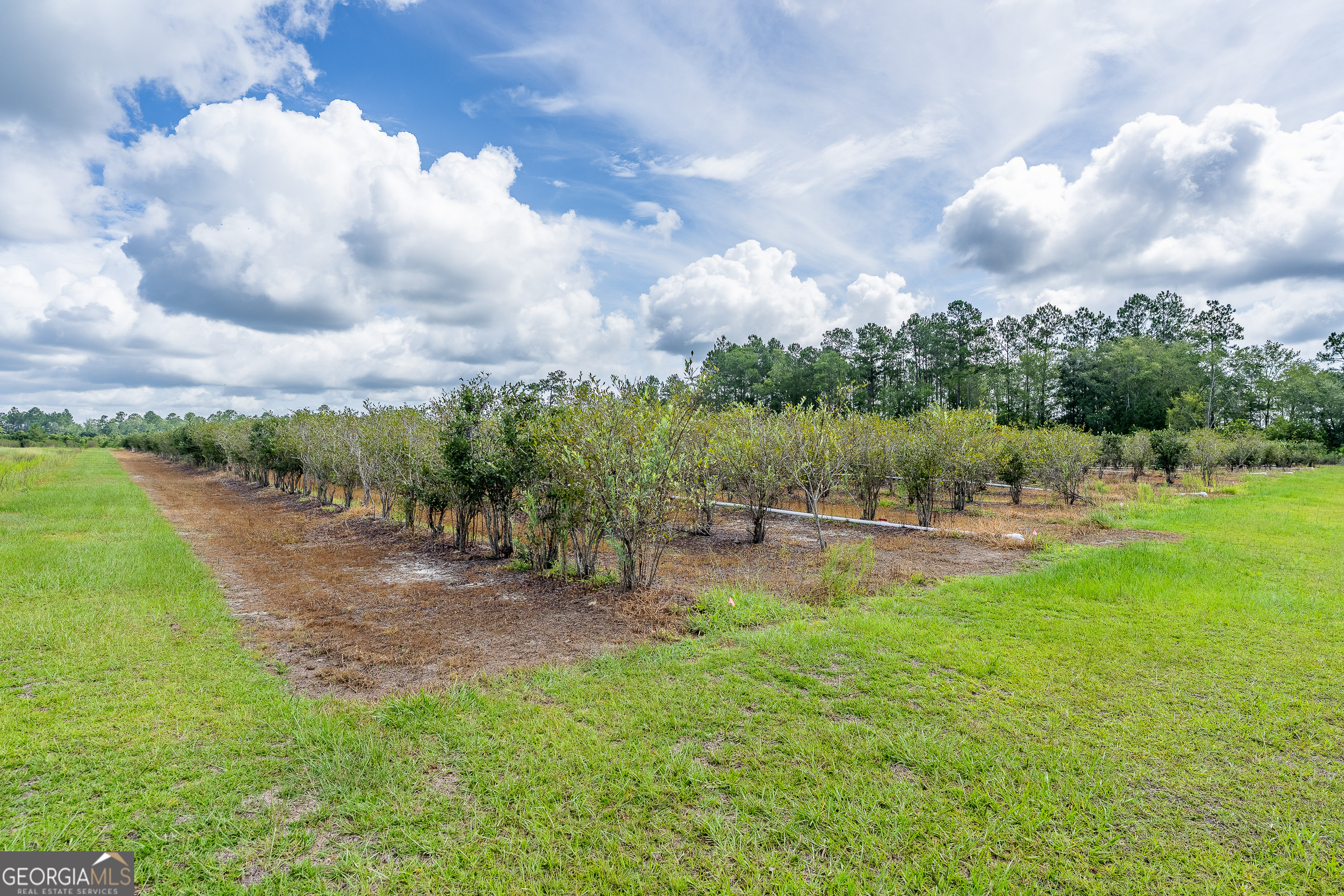 7848 Trudie Road Property Photo 17
