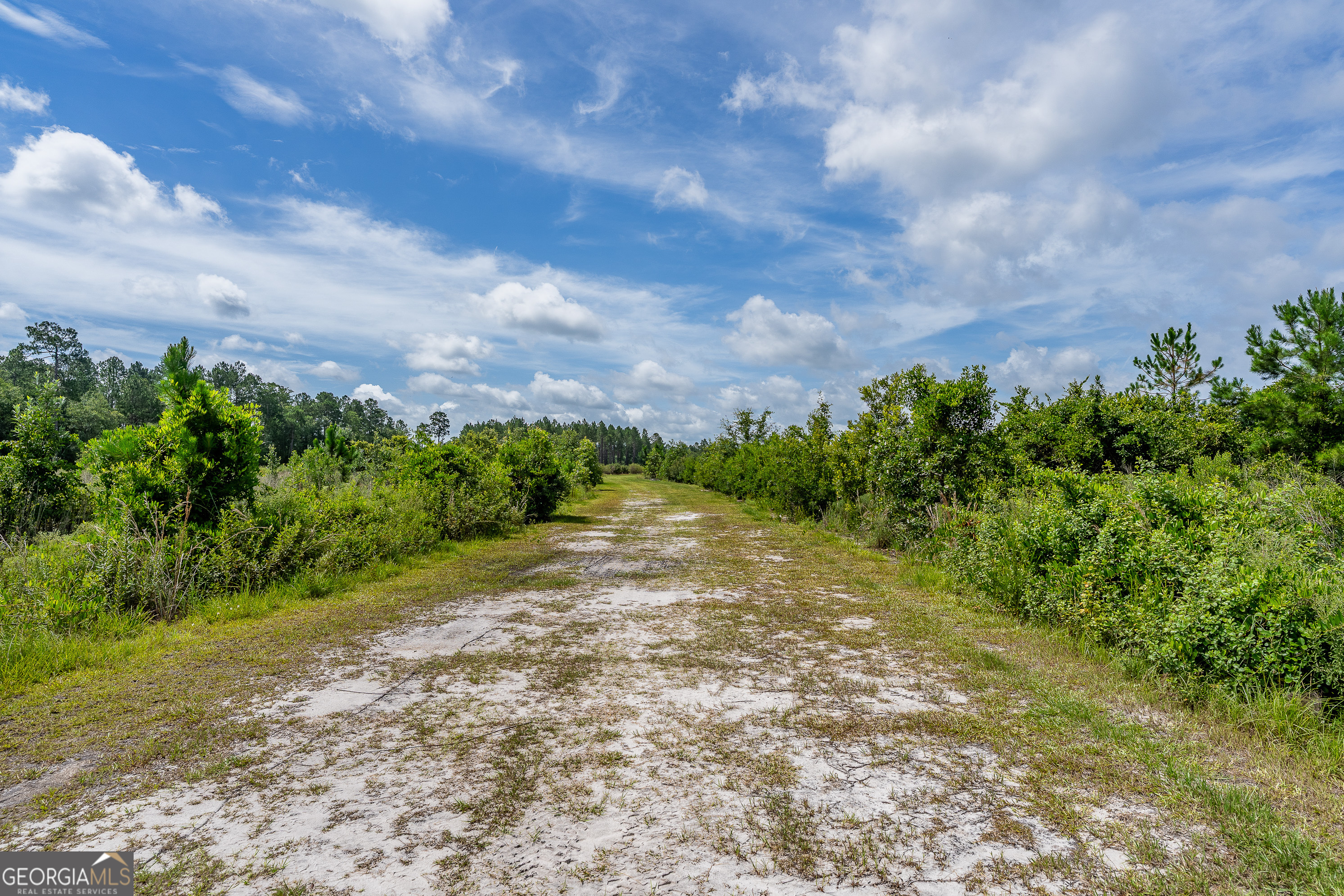 7848 Trudie Road Property Photo 37