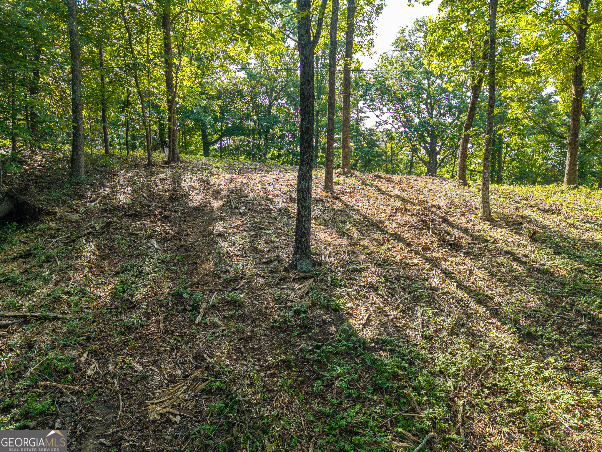 294 Adair Drive Ne Property Photo 10