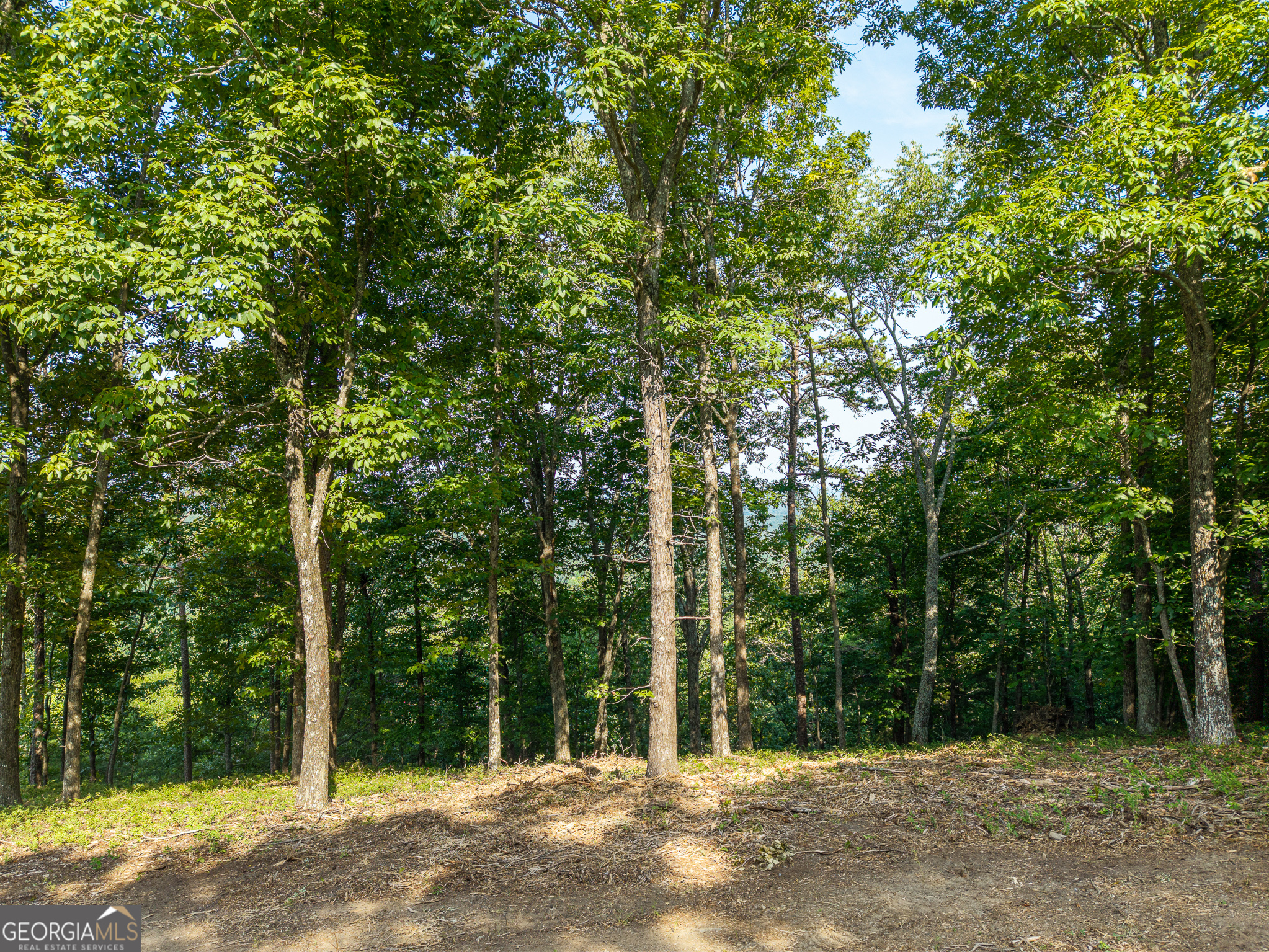 294 Adair Drive Ne Property Photo 13
