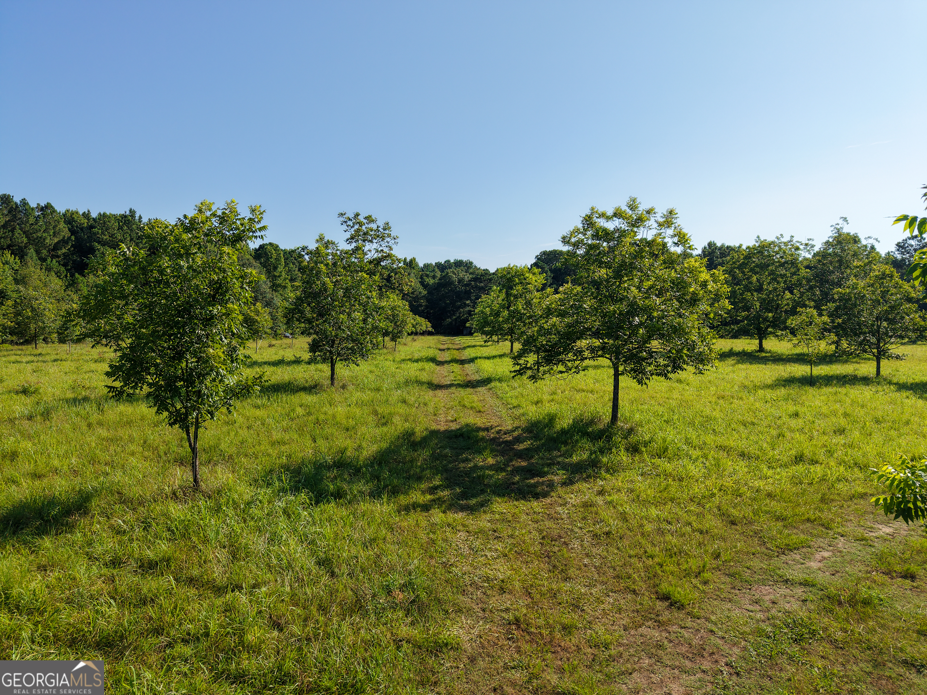 0 Hester Town Road Property Photo 16