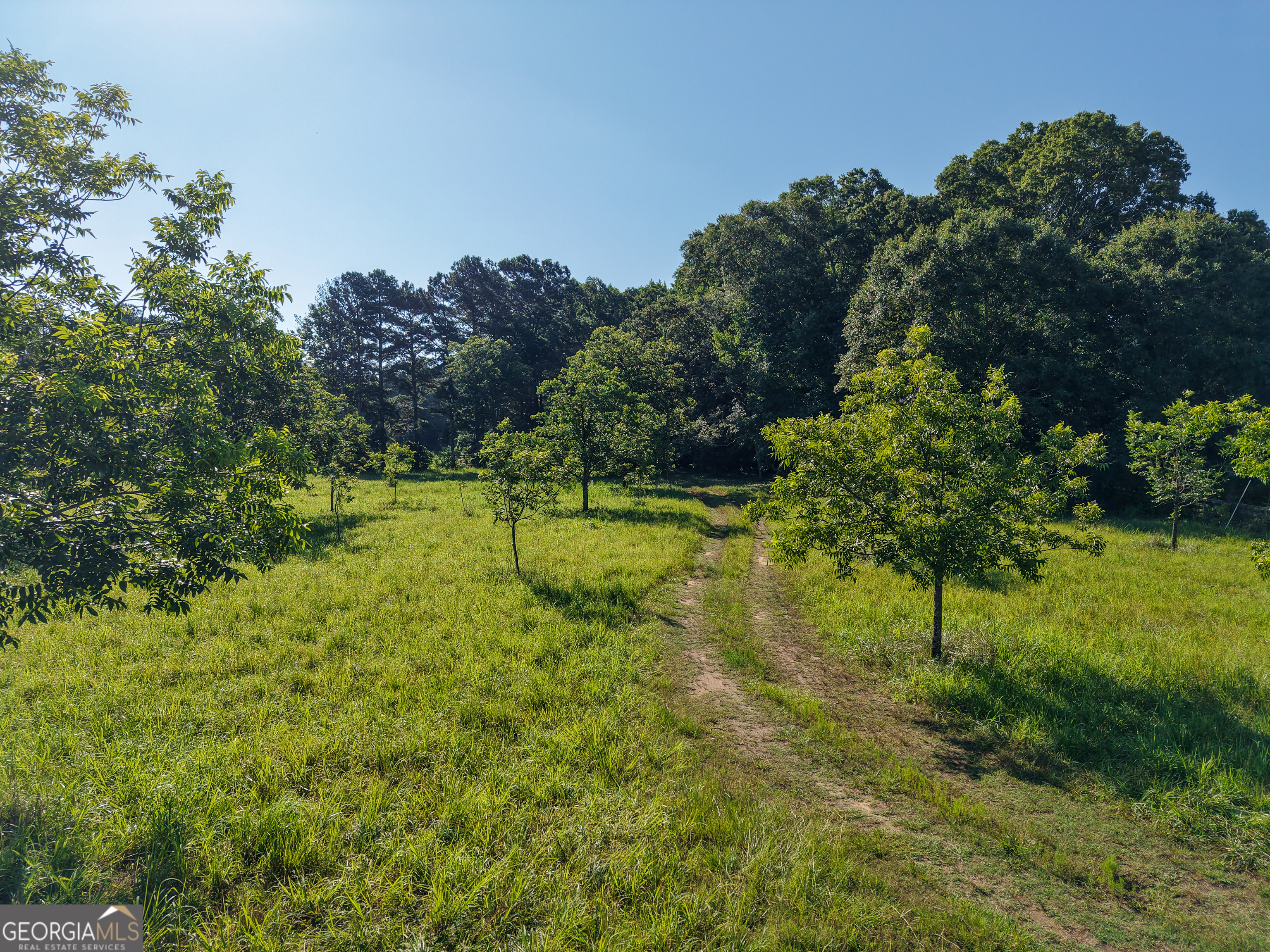 0 Hester Town Road Property Photo 17
