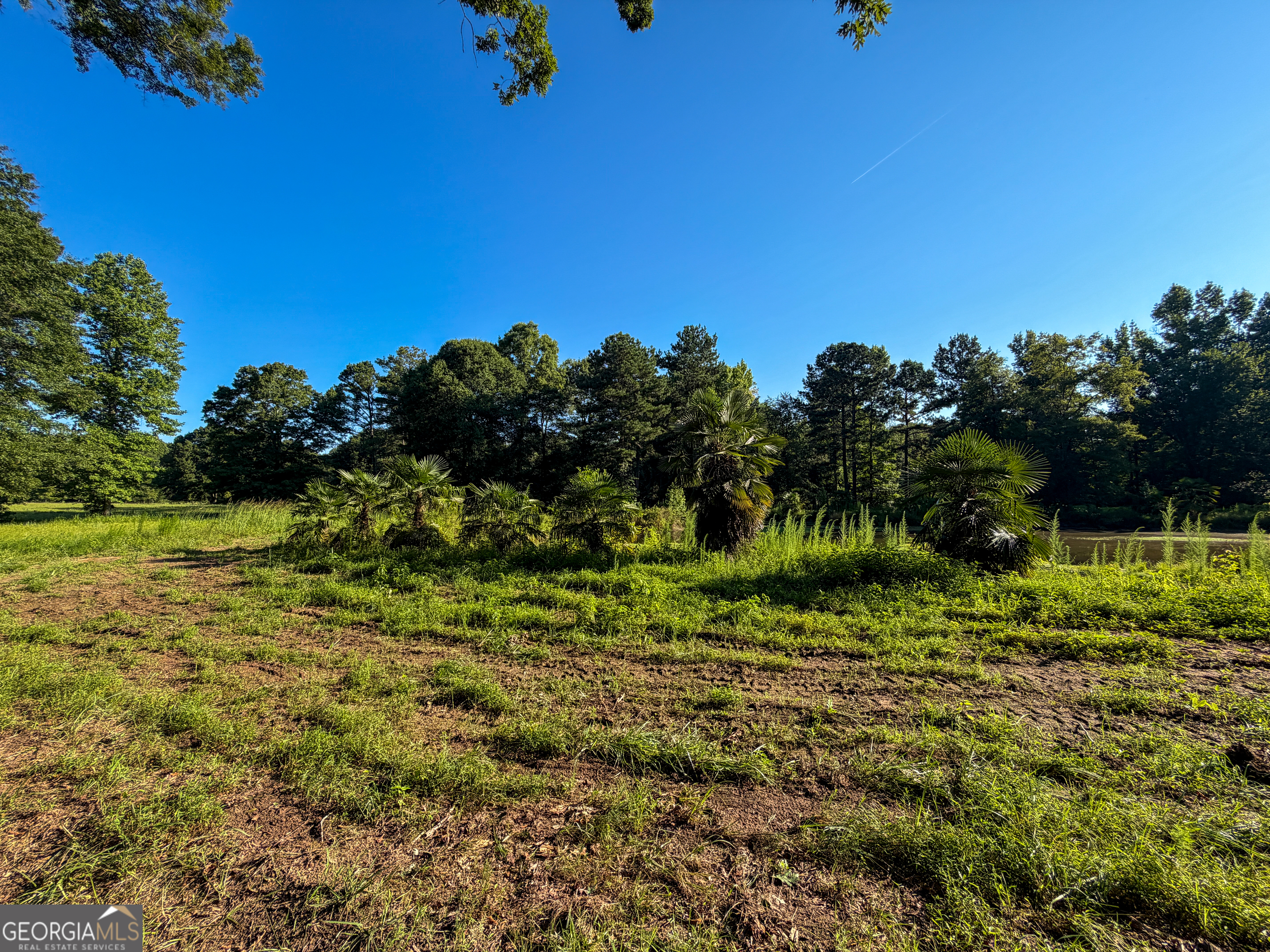 0 Hester Town Road Property Photo 31