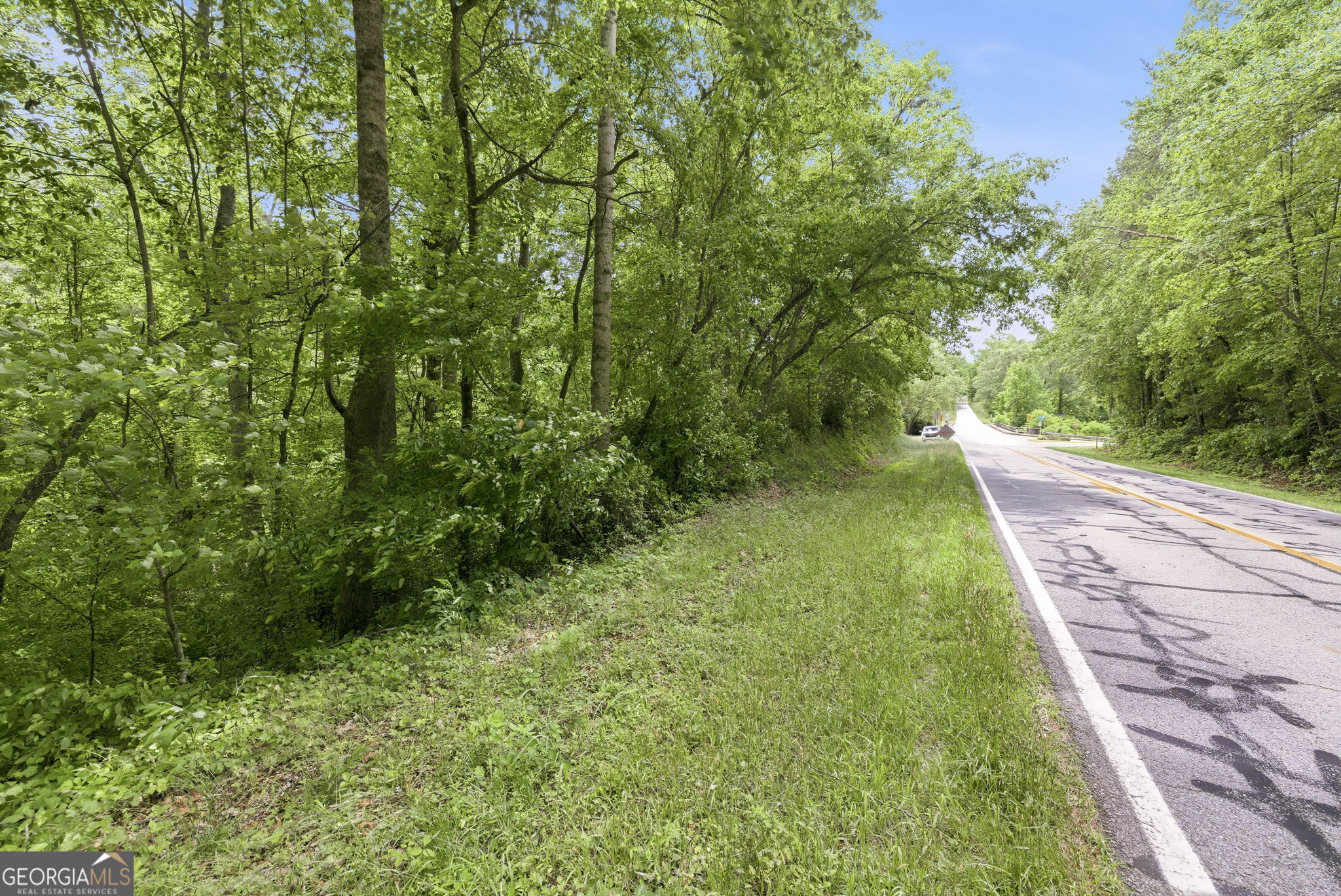 0 Habersham Mills Road Property Photo 2